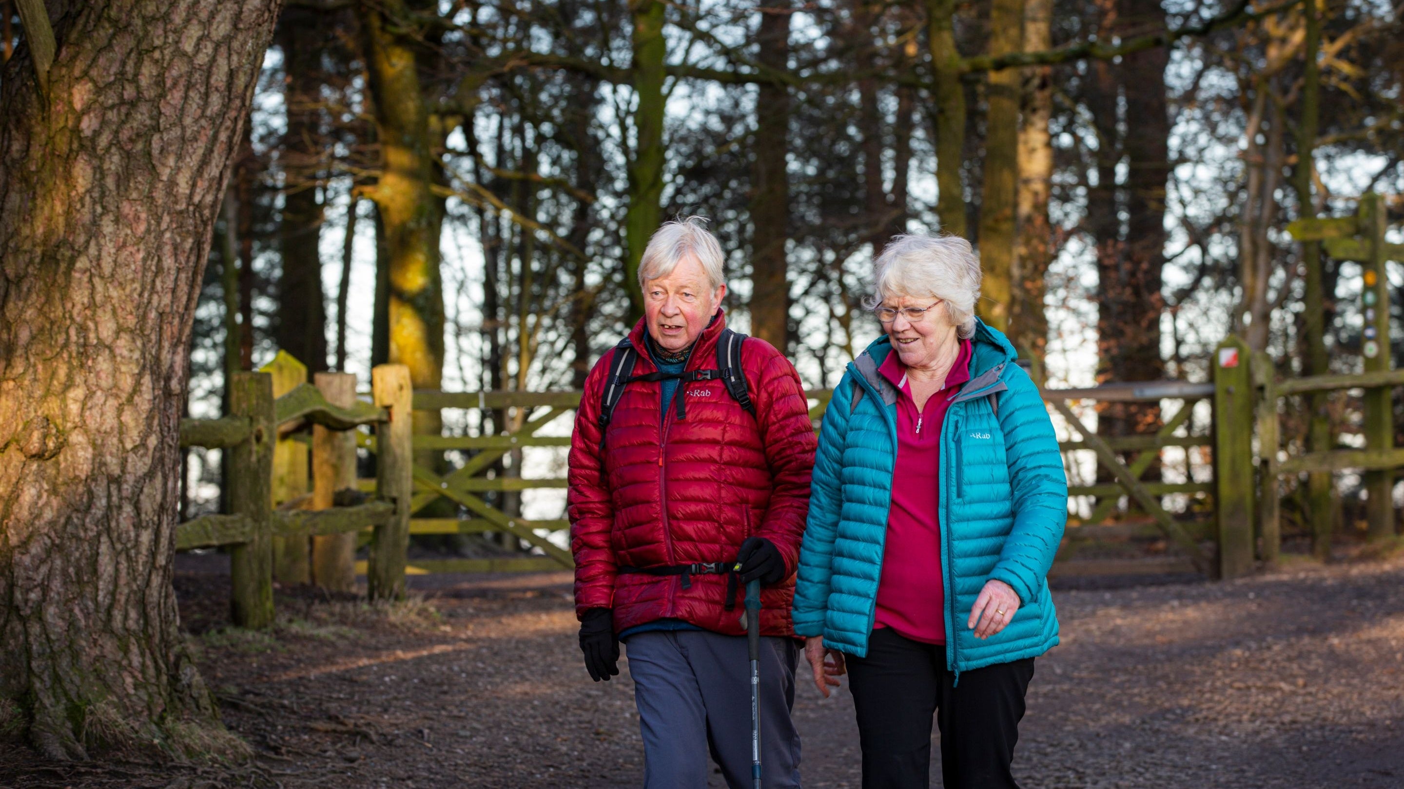 An elderly couple walking in the woods at Alderley Edge and Cheshire Countryside, Cheshire