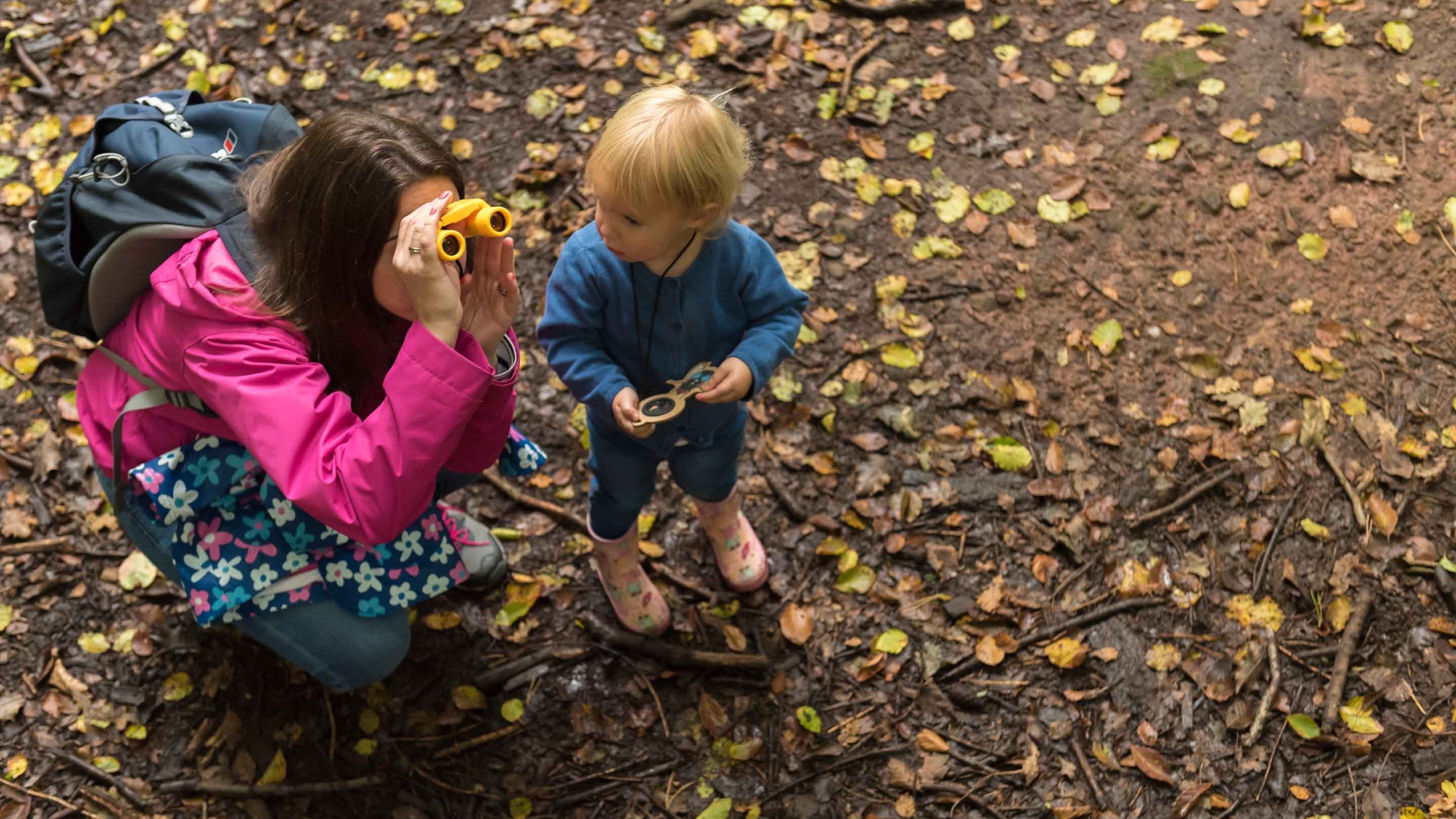 Playing in woodland at Alderley Edge and Cheshire Countryside, Cheshire