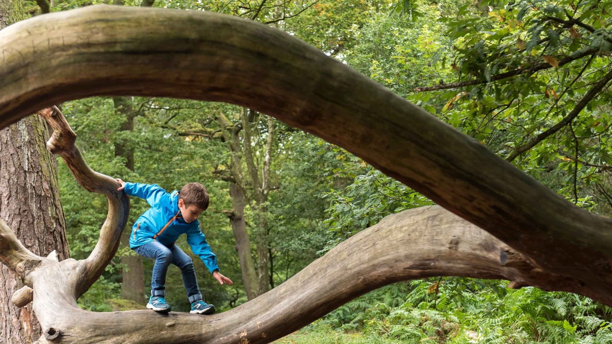 Visiting Alderley Edge Cheshire National Trust