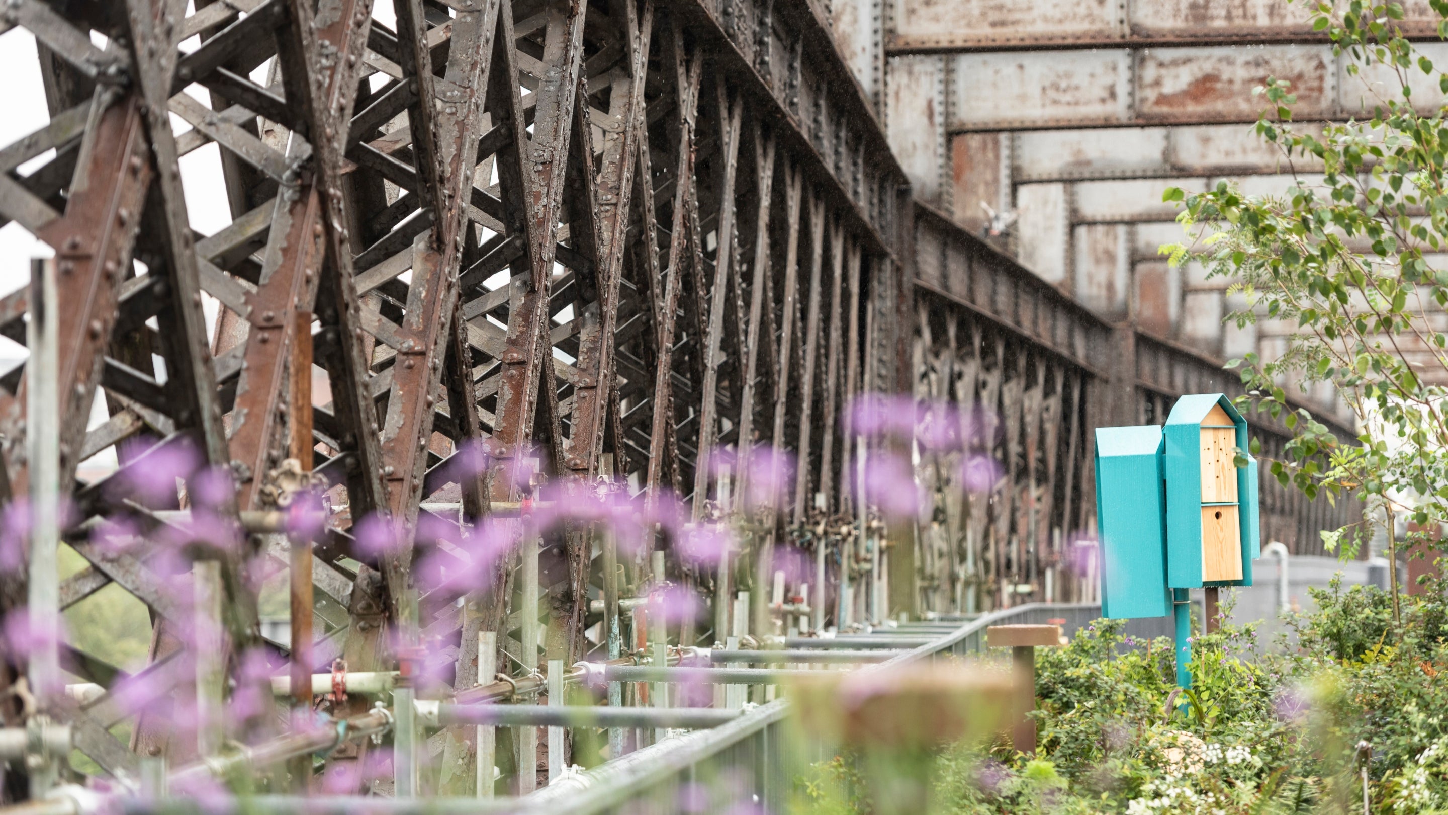 Metalwork of the viaduct stretches into the distance, surrounded by greenery and a bug hotel