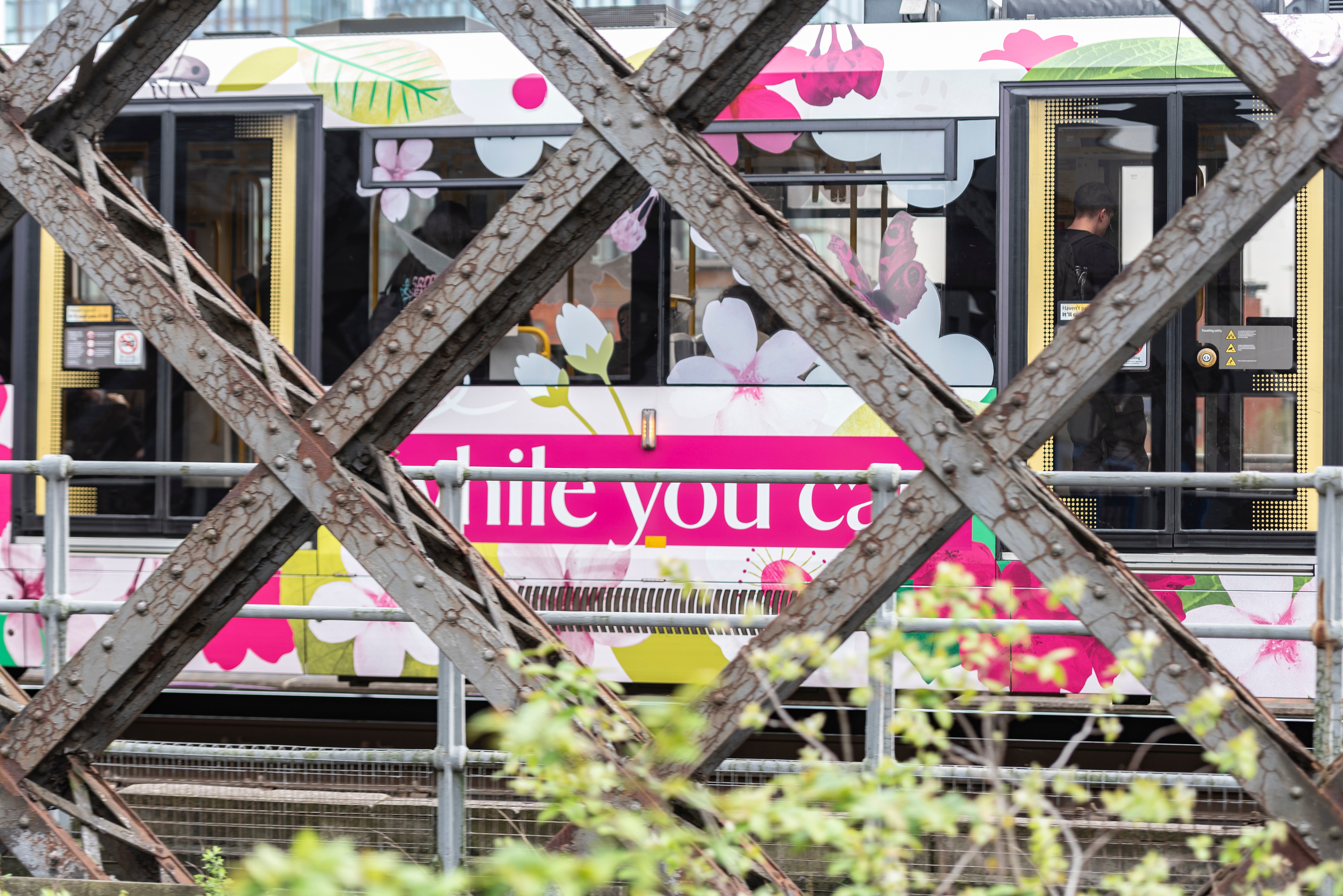 A Blossom branded tram is visible through the lattice ironwork of Castlefield Viaduct in Manchester during Bloomtown festival. The tram is completely decorated in shades of pink with blossom flowers and leaves.