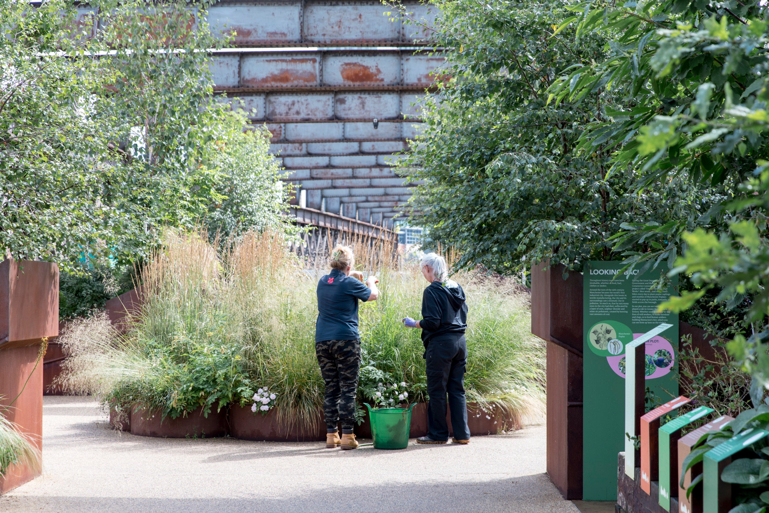 Two women pruning a large planter full of long grasses