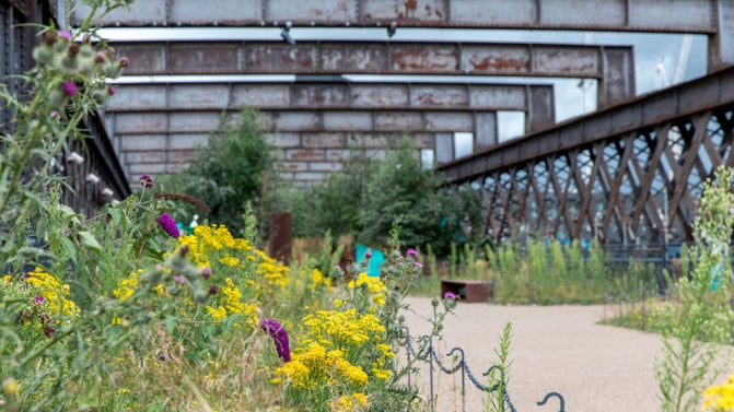 View of the gardens at Castlefield Viaduct, Manchester