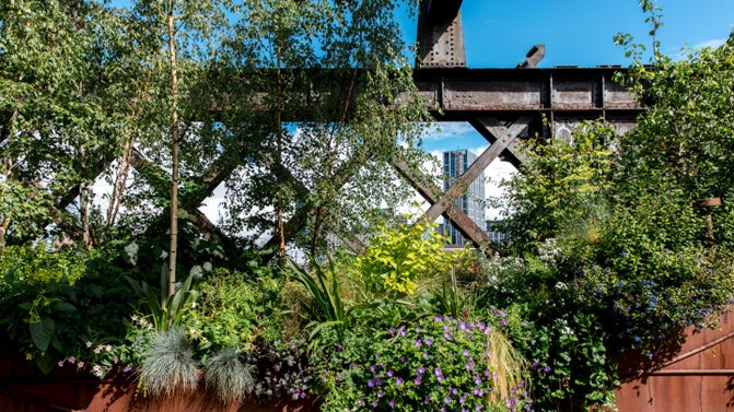Seasonal planting and shrubs at Castlefield Viaduct, Manchester