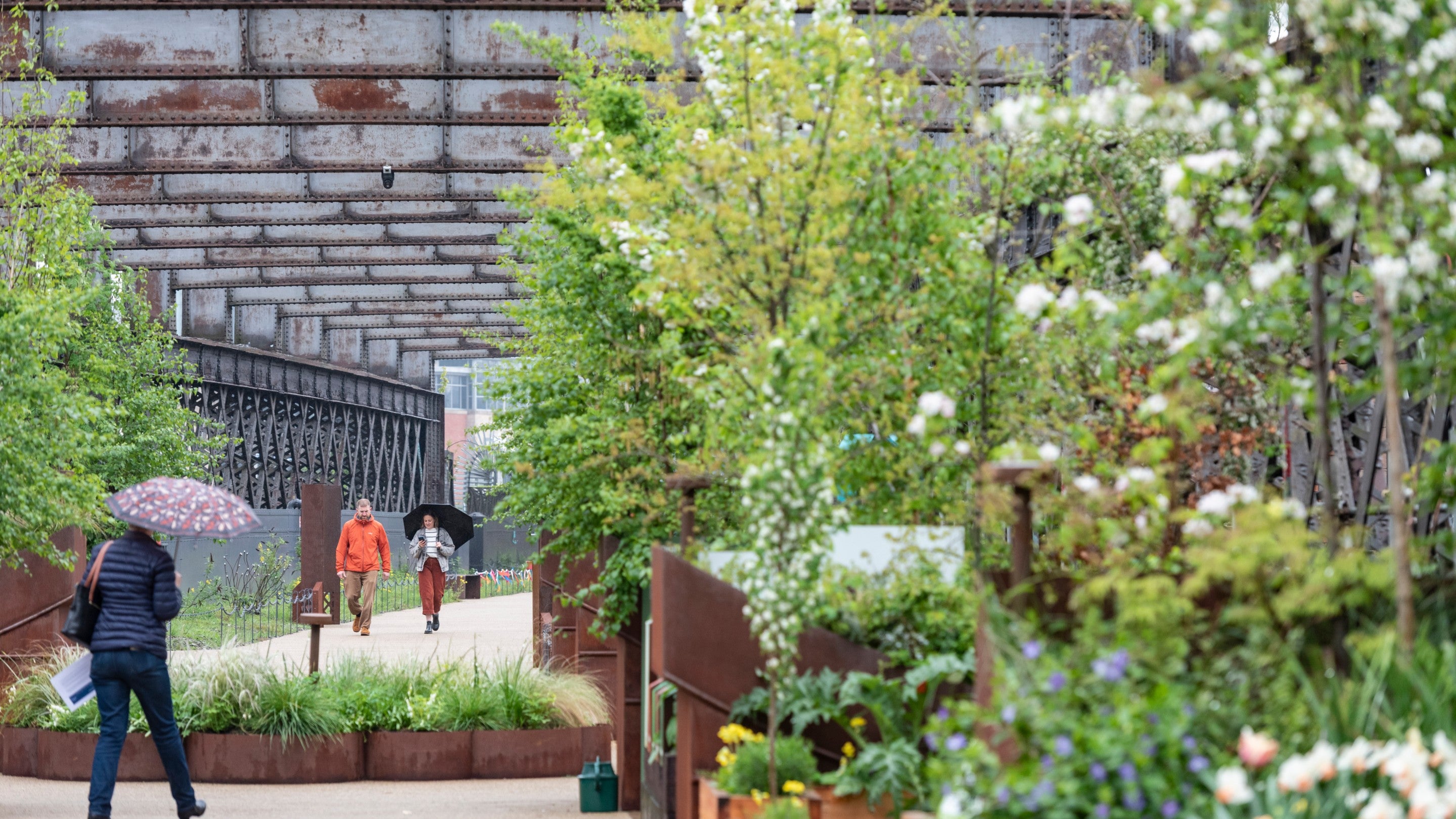 Spring view of the sky garden on Castlefield Viaduct. Green trees on the right of the bridge. Three people with umbrellas walk amongst the trees.