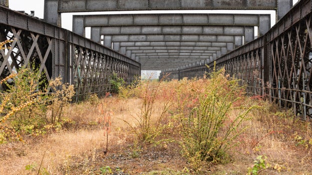 An overgrown section of a disused Victorian viaduct. Green plants grow from the floor.