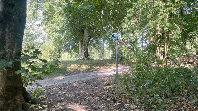 A wooded area with a footpath sign leading to a dirt path