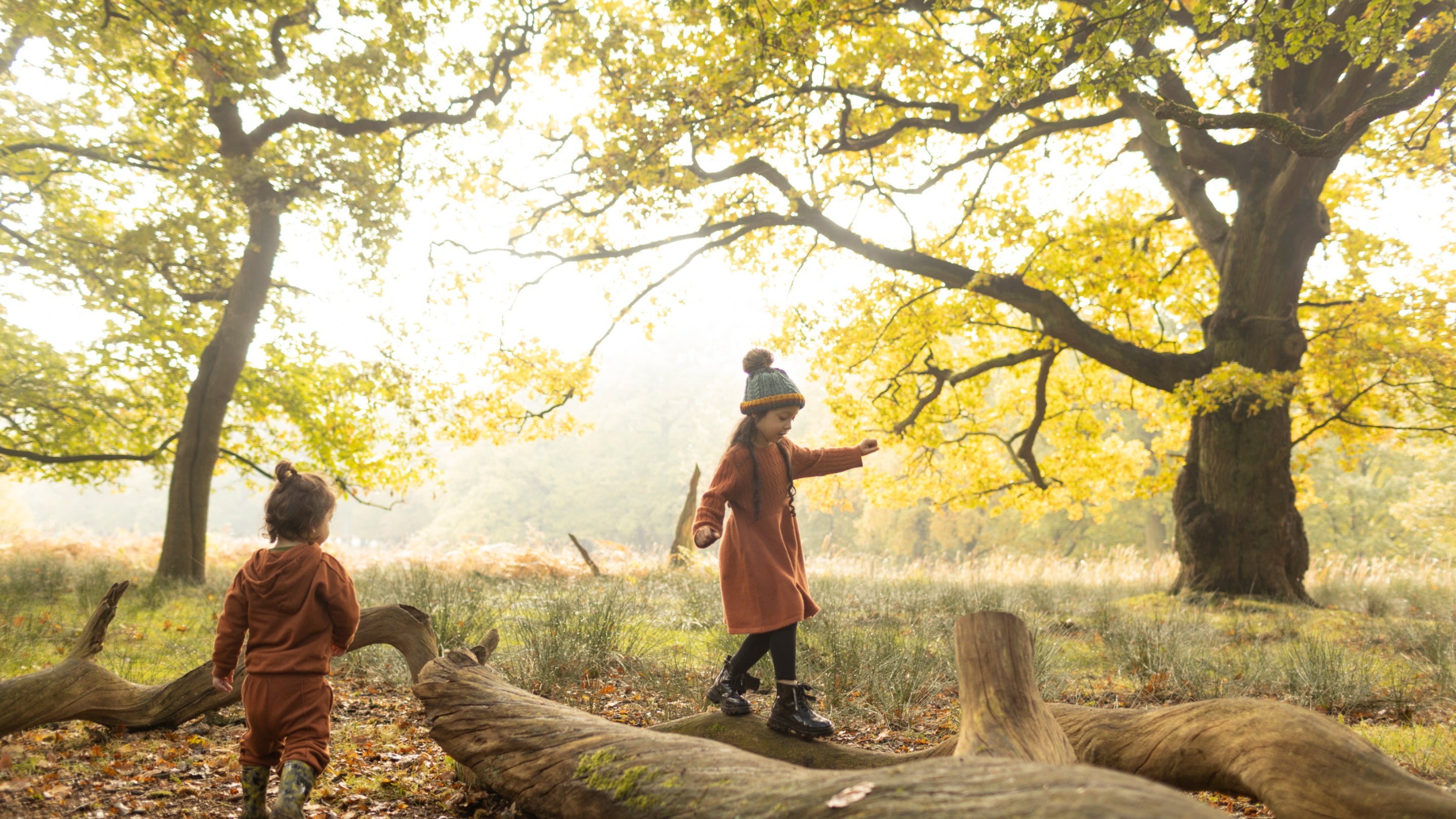 Children enjoying the park in autumn at Dunham Massey, Cheshire