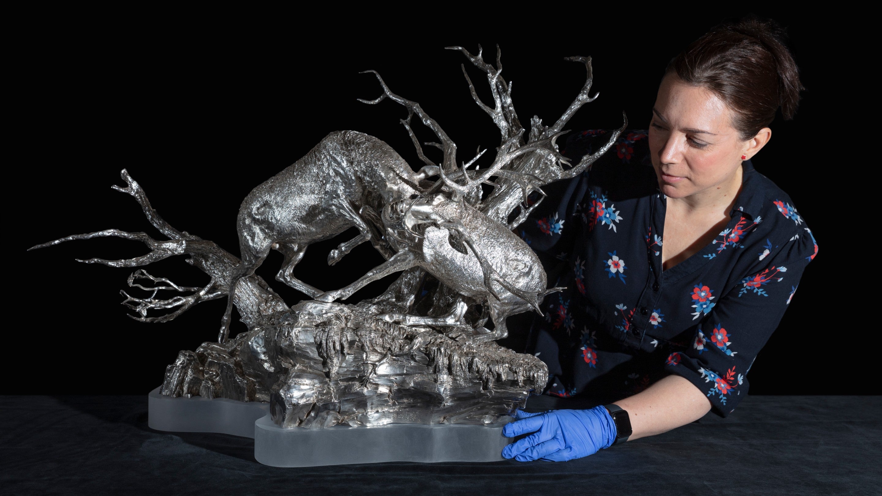 A curator in a blue dress and gloves adjusts the base of a large silver sculpture of two rutting red deer stags.