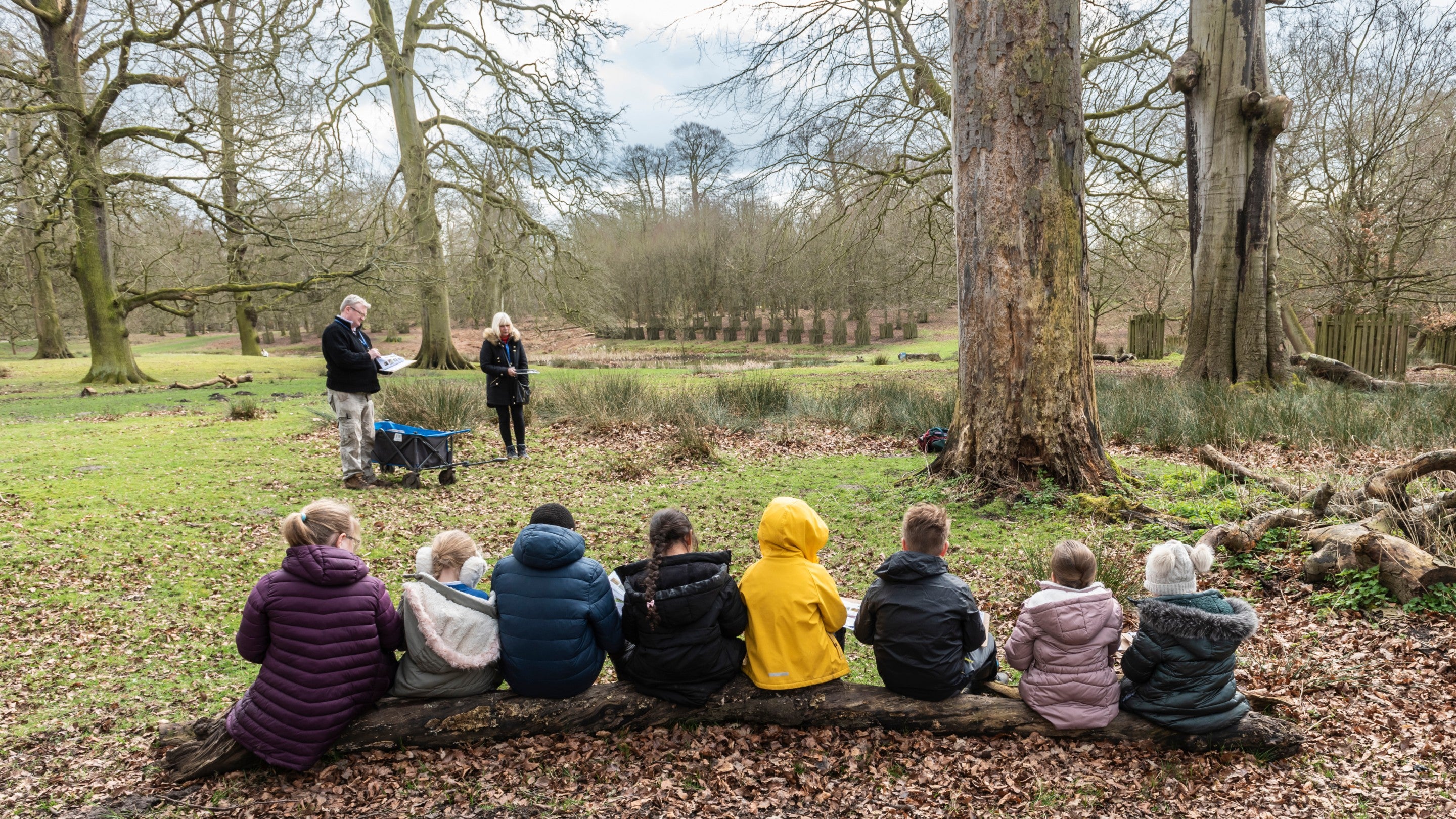 A group of schoolchildren sit on a log in a deer park at Dunham Massey
