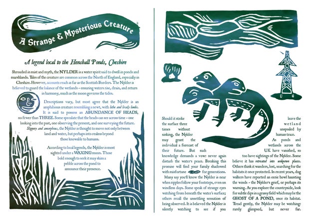 Article about the Nylder