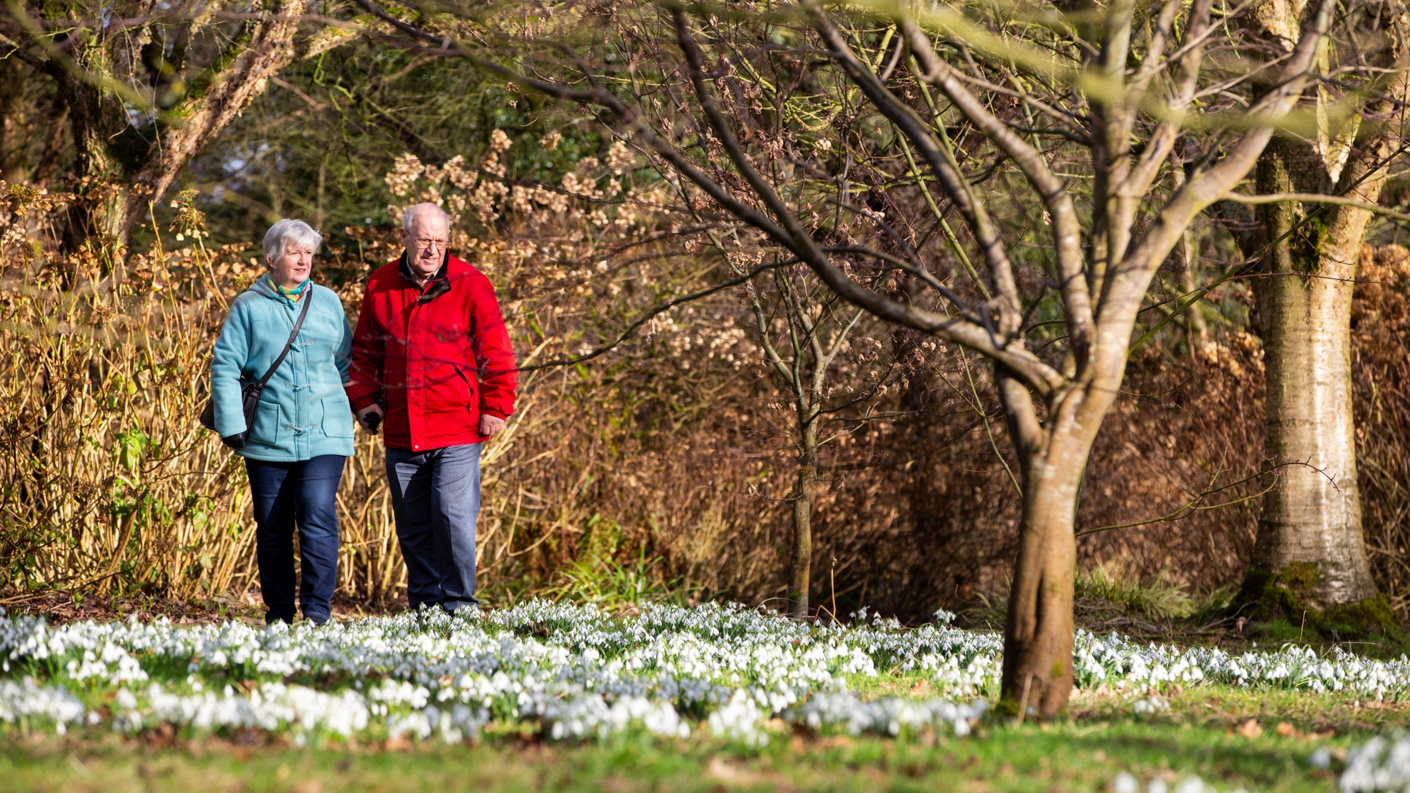Visitors walking in the Winter Garden at Dunham Massey, Cheshire