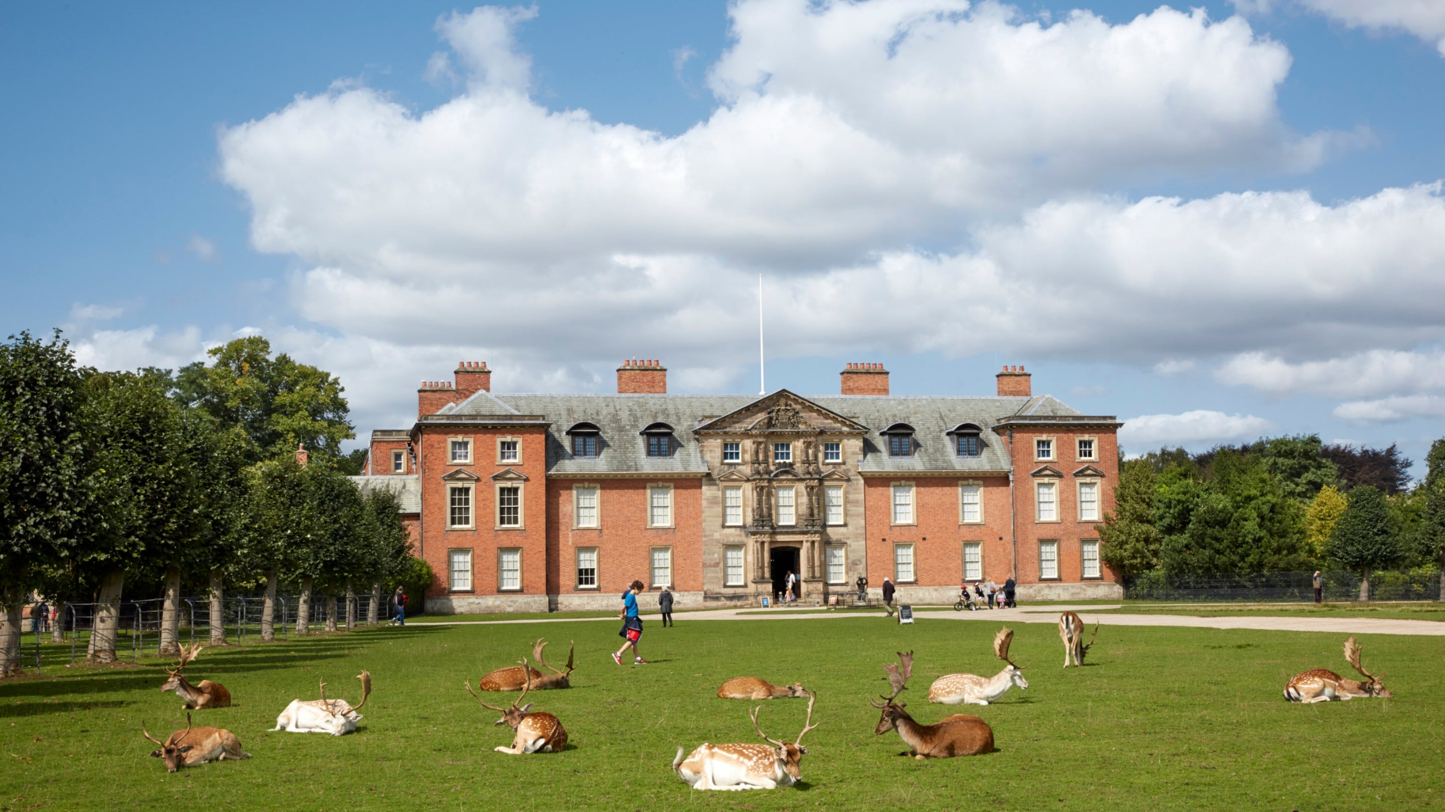Fallow deer resting in front of the house at Dunham Massey, Cheshire.