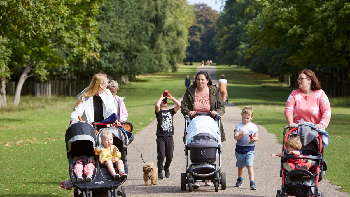 Family Days Out at Dunham Massey National Trust