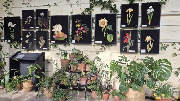 An image of the photographic floral displays from Mary Delany