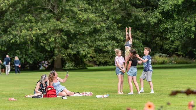 A group visitors having a picnic on the lawn and playing games.