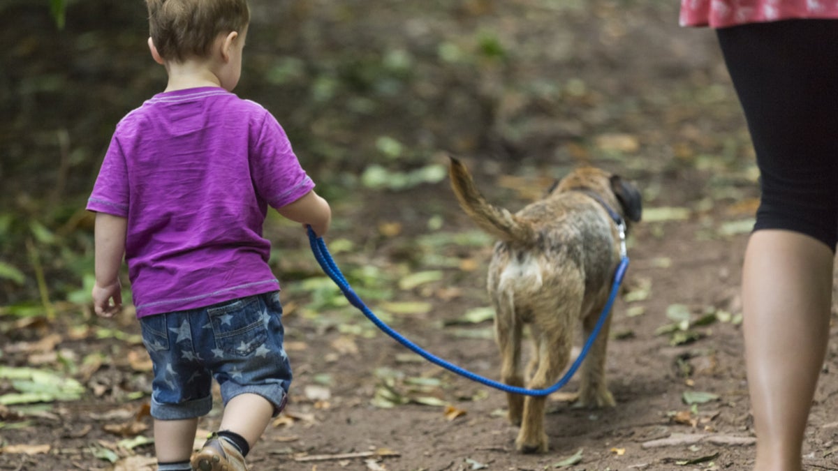 Are Dogs Allowed In Dunham's Sports Today Dogs at Dunham Massey | Greater Manchester | National Trust