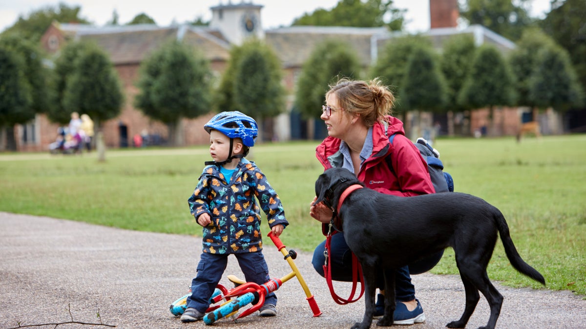 Dogs at Dunham Massey Greater Manchester National Trust