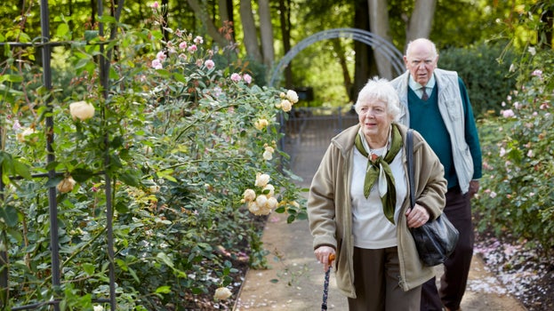 Visitors taking a  stroll through Dunham Massey's Rose Garden, surrounded by blooming roses and lush greenery.