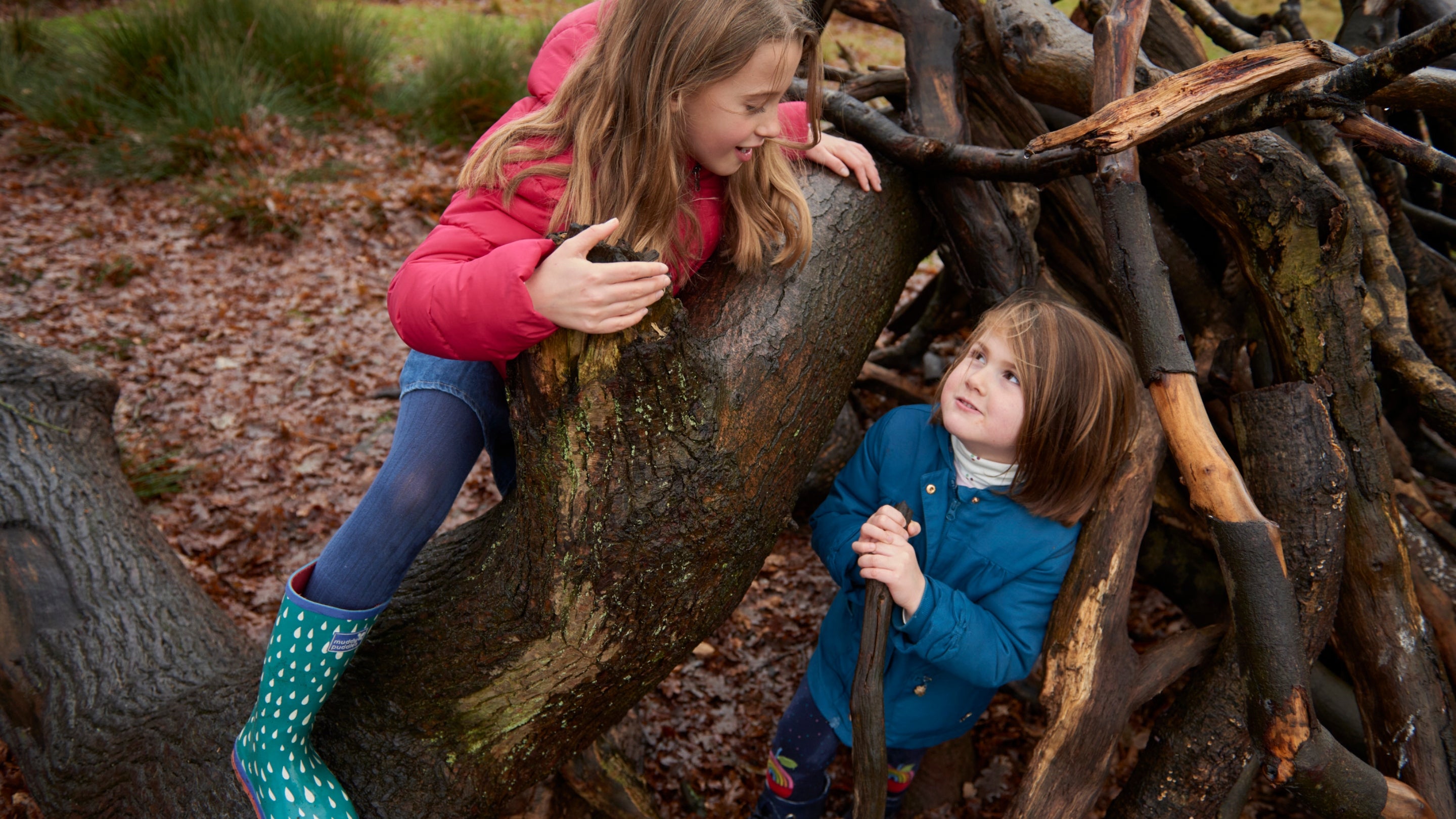 Children playing in the park at Dunham Massey, Cheshire.