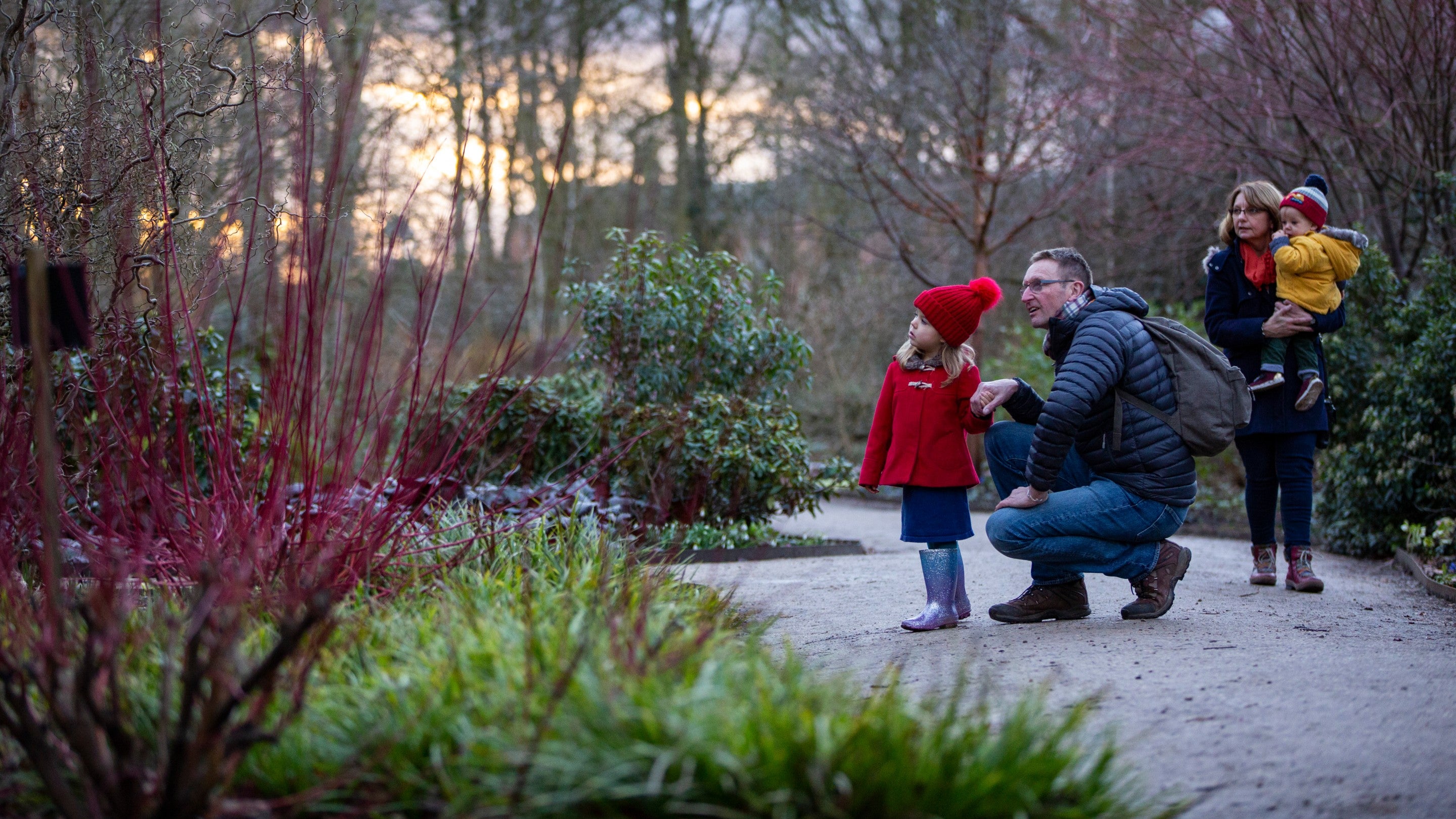 A family of four walk through the winter garden at Dunham Massey surrounded by colourful winter plants.
