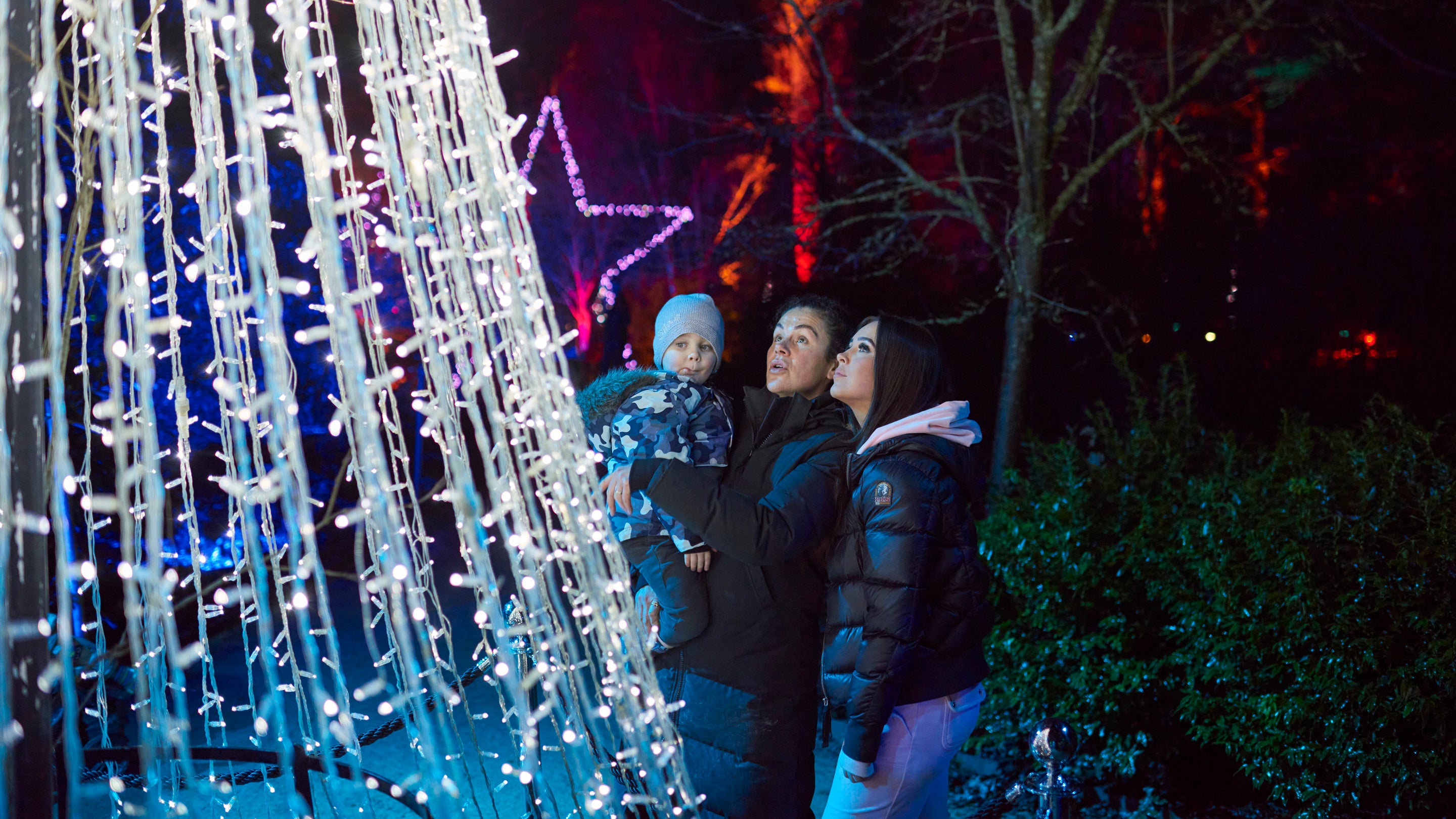 Visitors enjoying the illuminated Christmas trail in the park at Dunham Massey, Greater Manchester