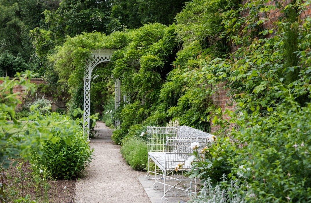 Hare Hill Walled Garden in the summer, white bench just off the path