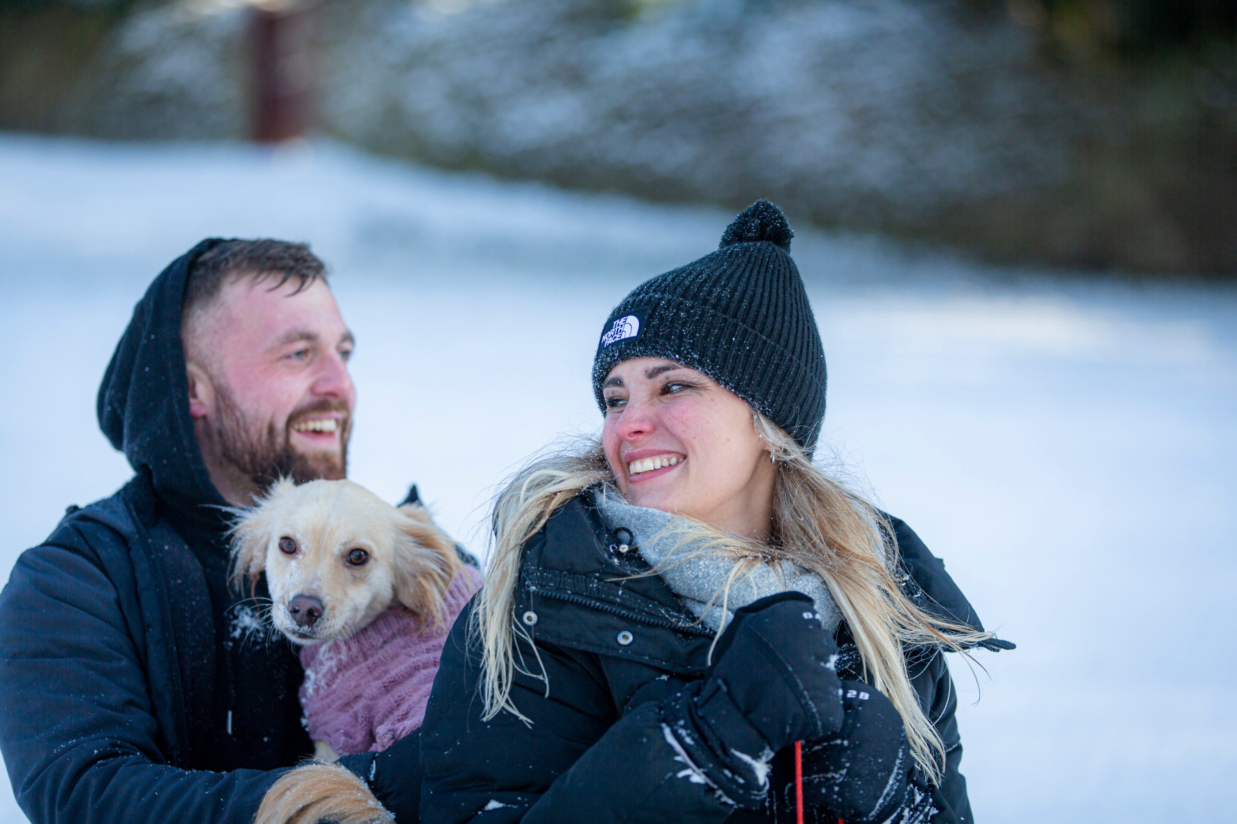Two people are playing in the snow with their small dog at Lyme, Cheshire