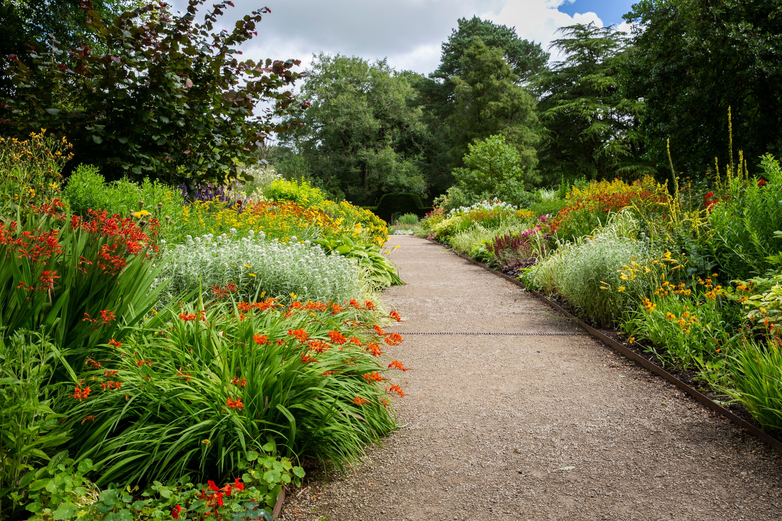 Flowers in bloom in the herbaceous borders at Lyme, Cheshire