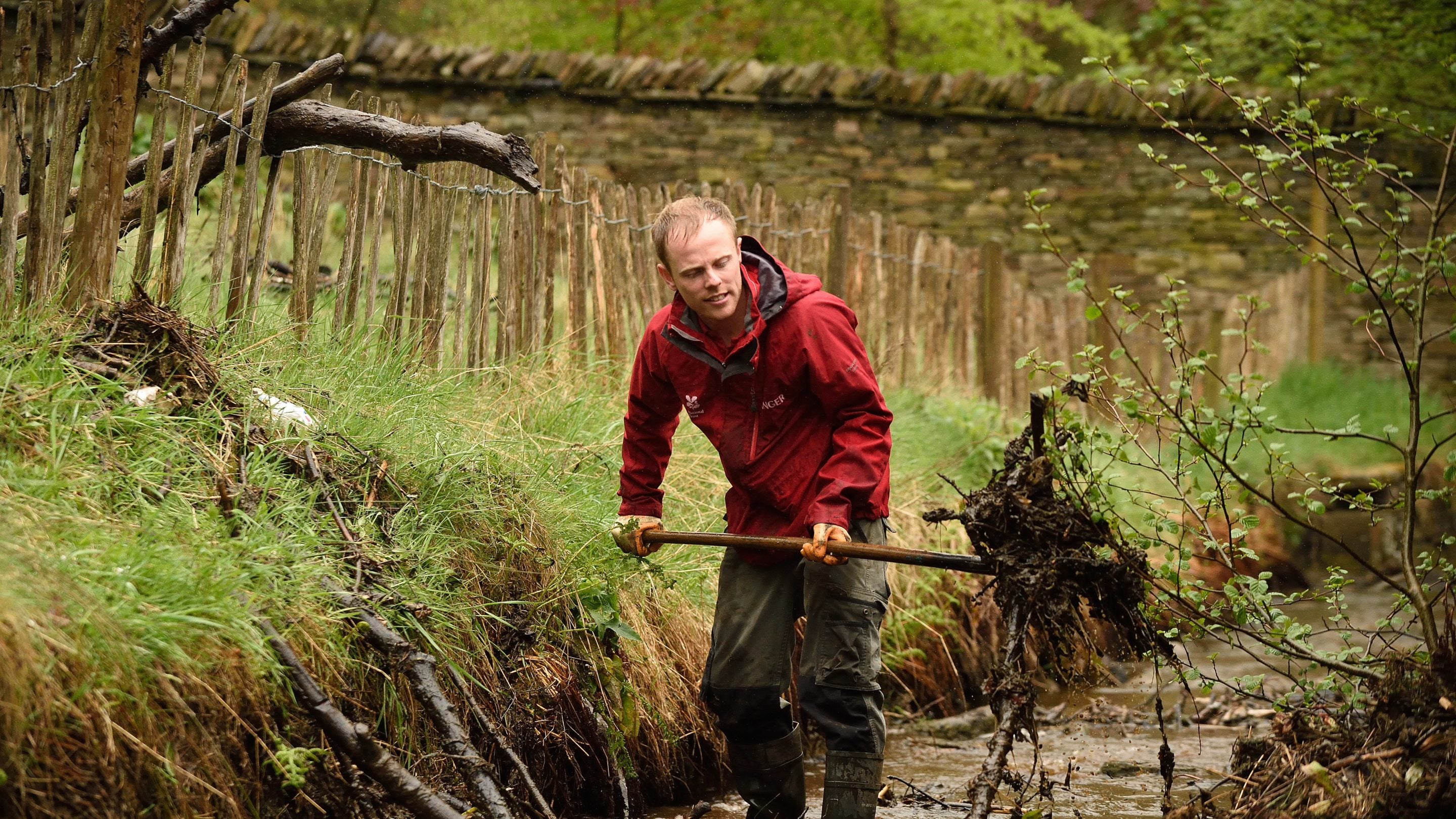 A ranger scooping up leaves and mud at Lyme Park, Cheshire