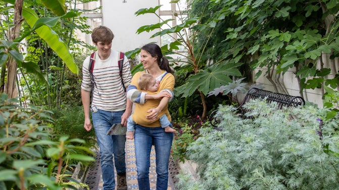 Two adults, one holding a baby, walk inside the Orangery surrounded by plants at Lyme Park, Cheshire