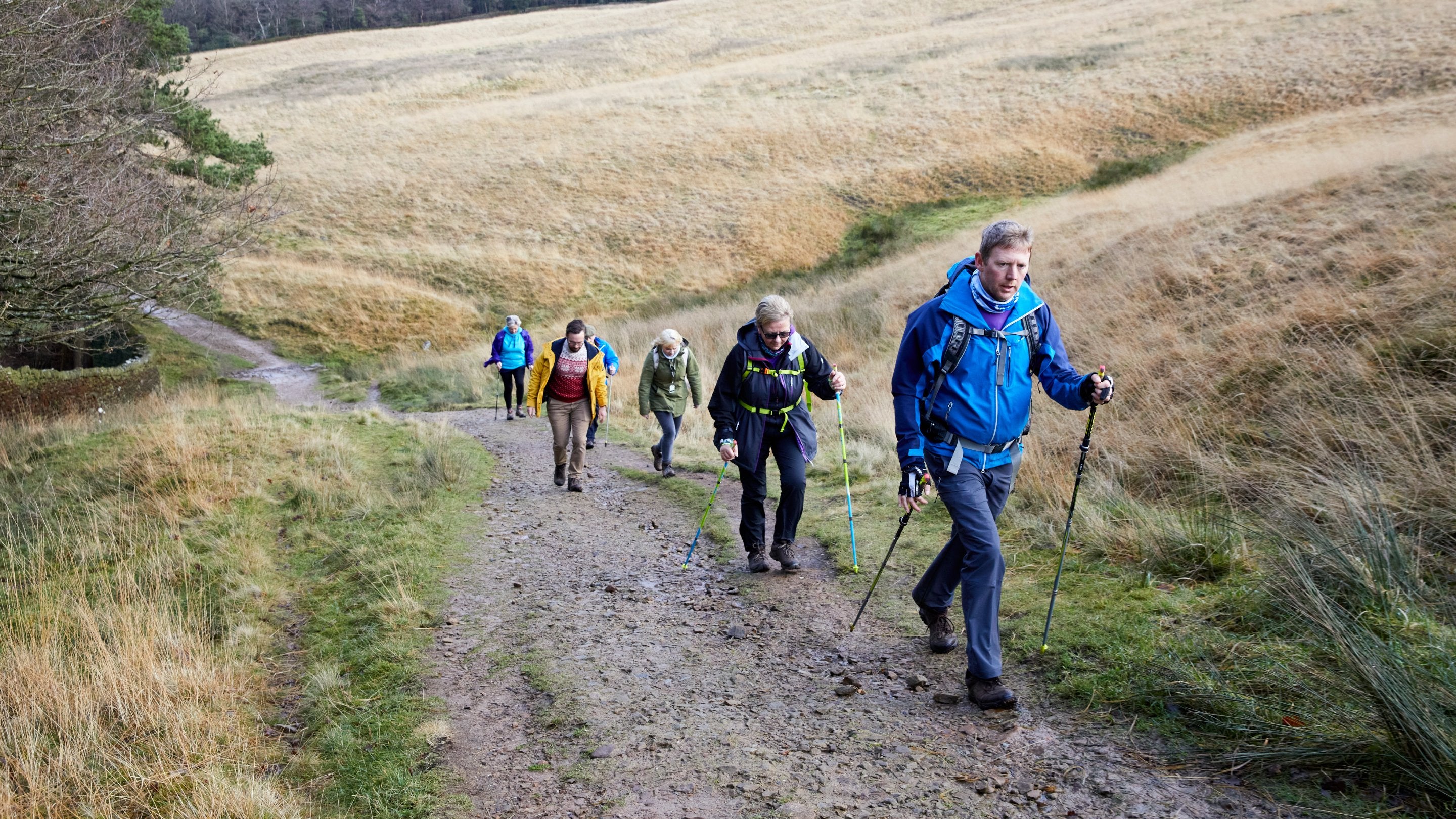 Nordic walking on the estate at Lyme, Cheshire
