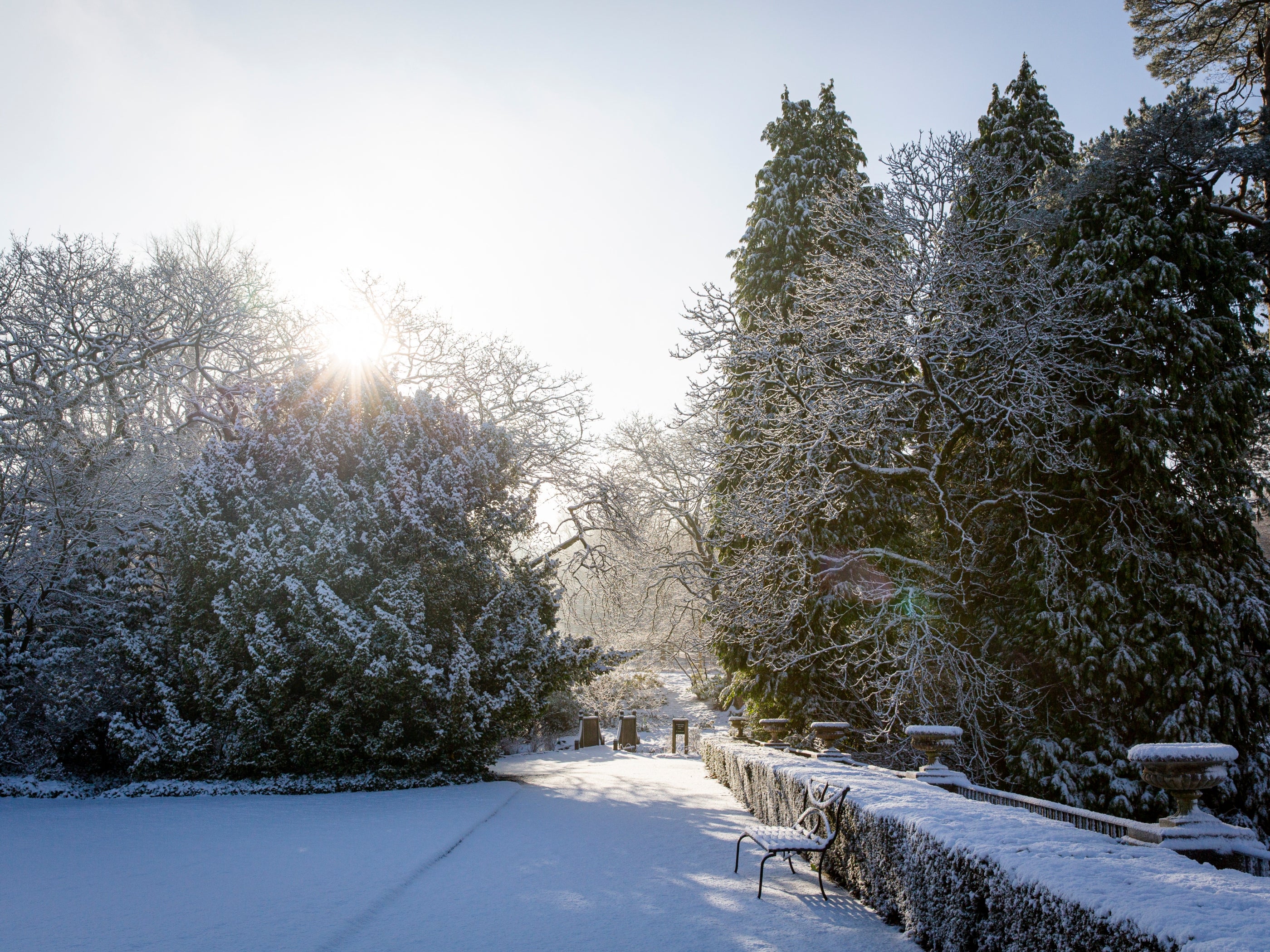 Snow covering the edge of the front lawn at Lyme, Cheshire, with a burst of sunlight peeking over the trees.