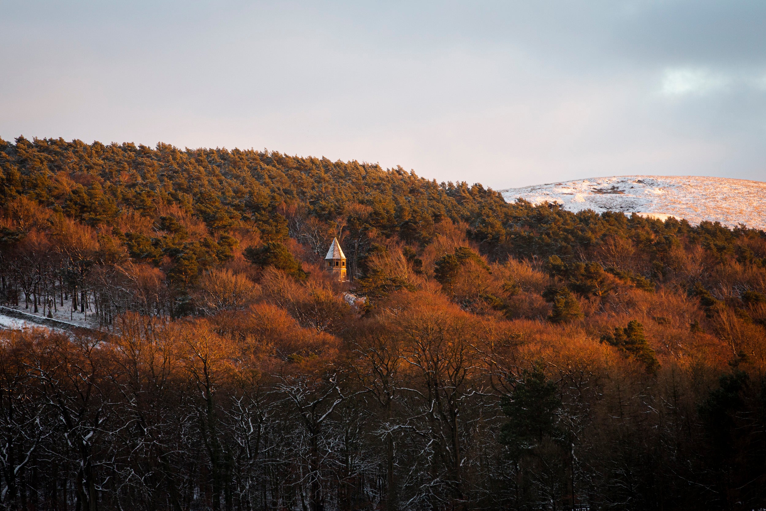The snow covered roof of the Lantern in the woods at Lyme, Cheshire