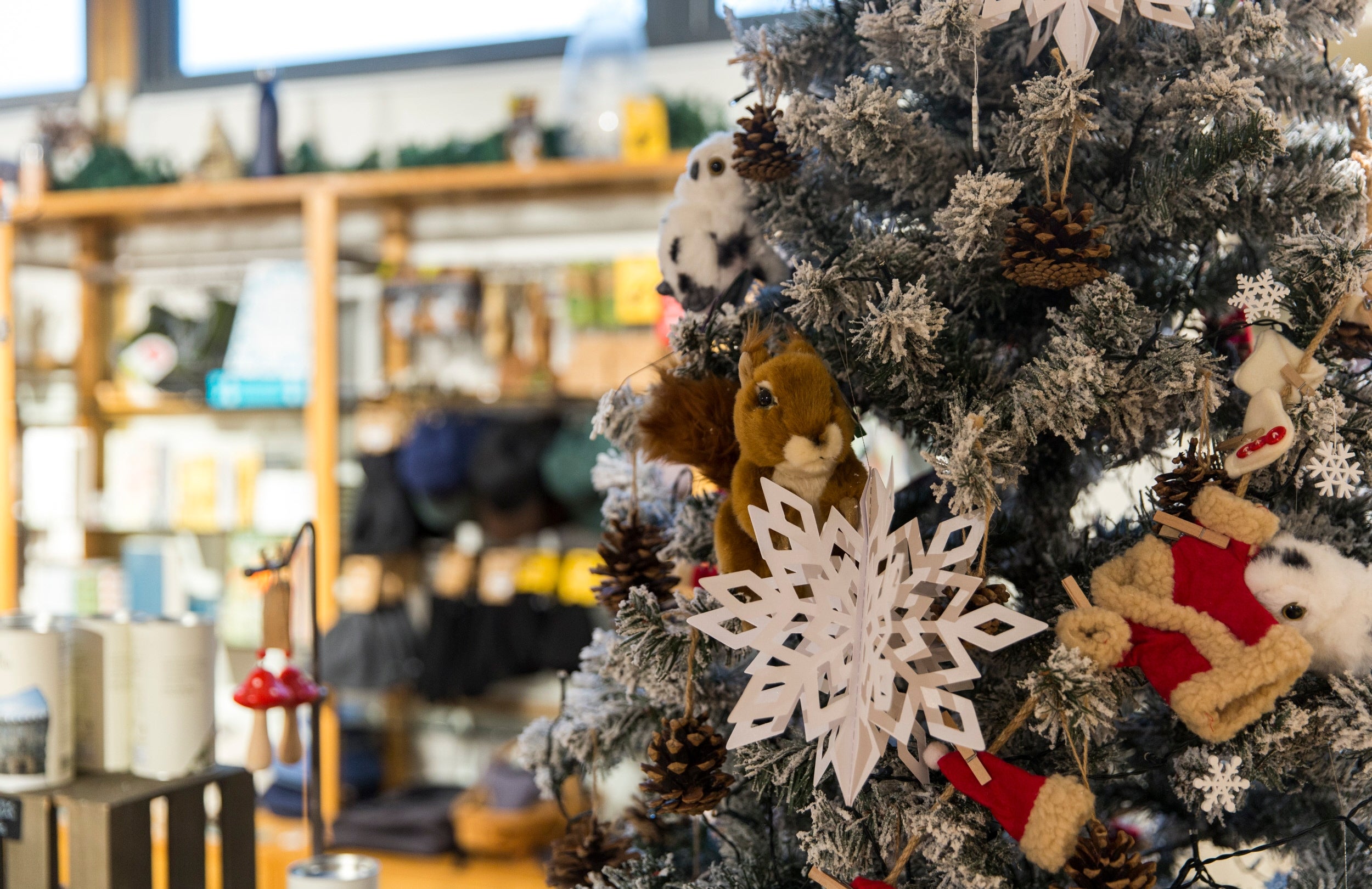 A Christmas tree decorated in a shop