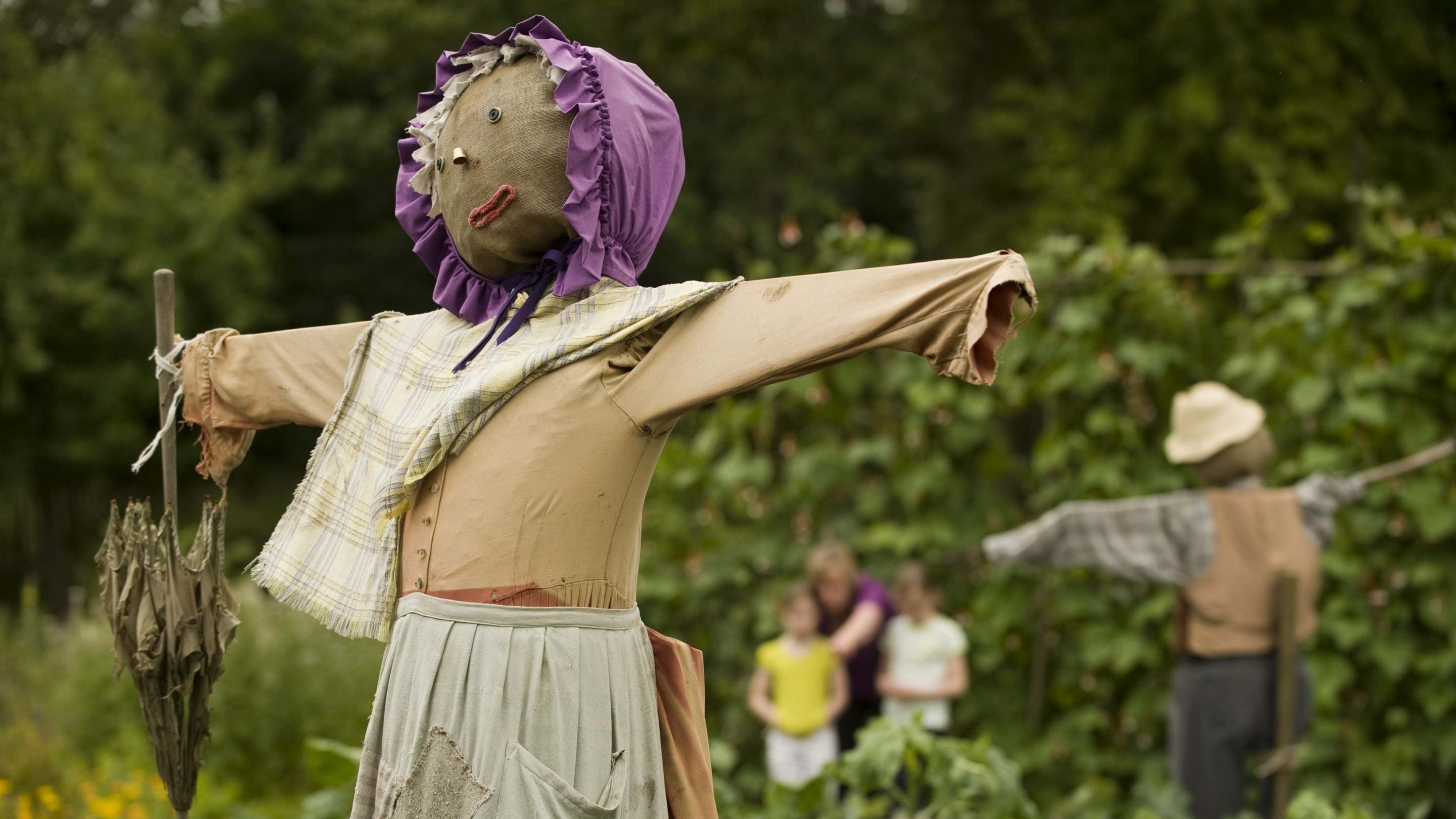 A scarecrow with a purple hat and another in the background in a veg patch