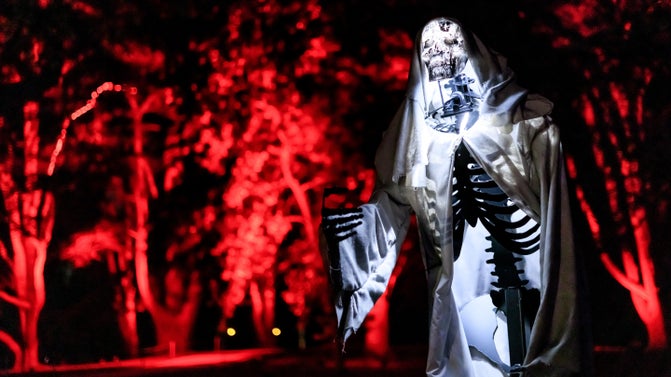 A cloaked skeleton figure lite up in white. I the background trees turned red with lighting.