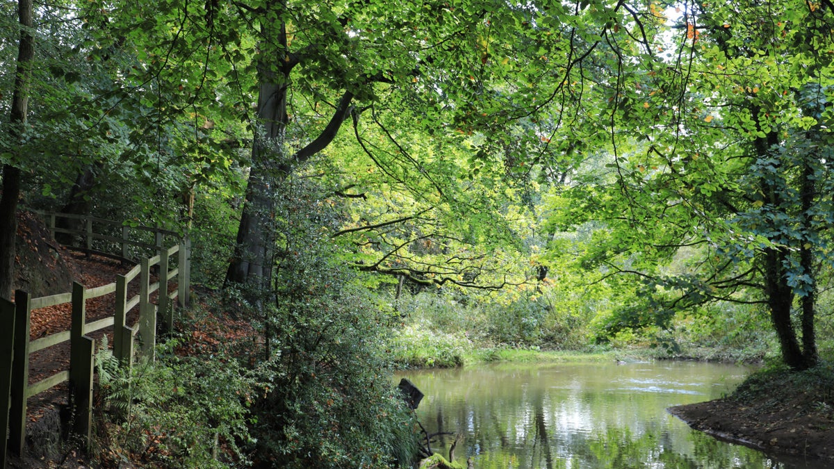 River Bollin Riverlands Project Quarry Bank National Trust