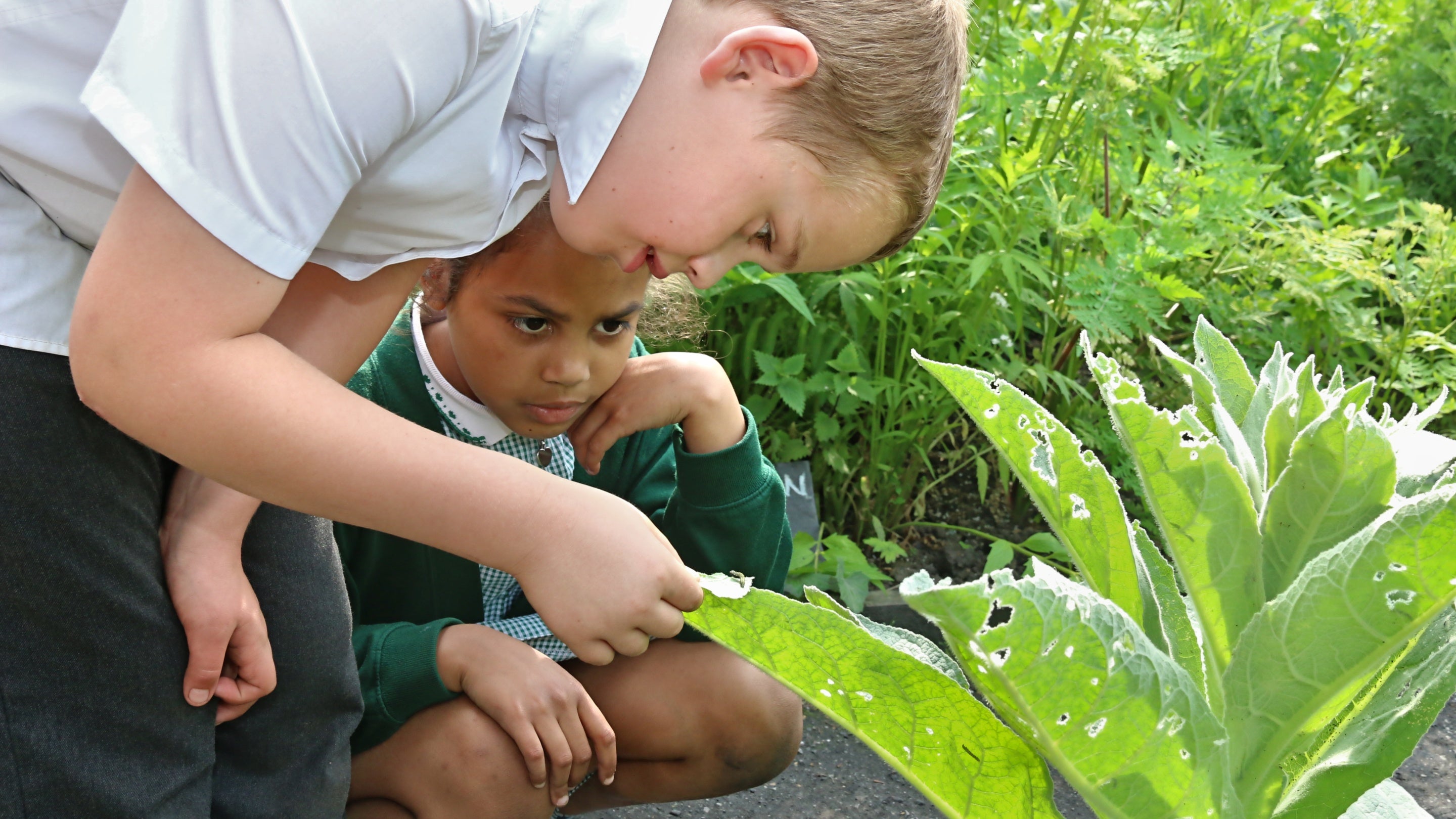 School children exploring the Apprentice House garden at Quarry Bank Mill, Cheshire