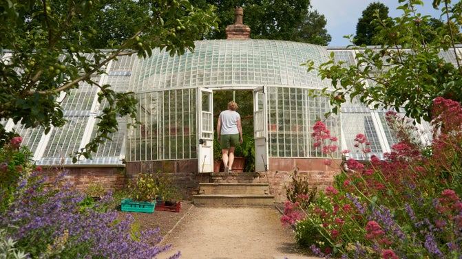 A visitor entering the curvilinear glasshouse at Quarry Bank