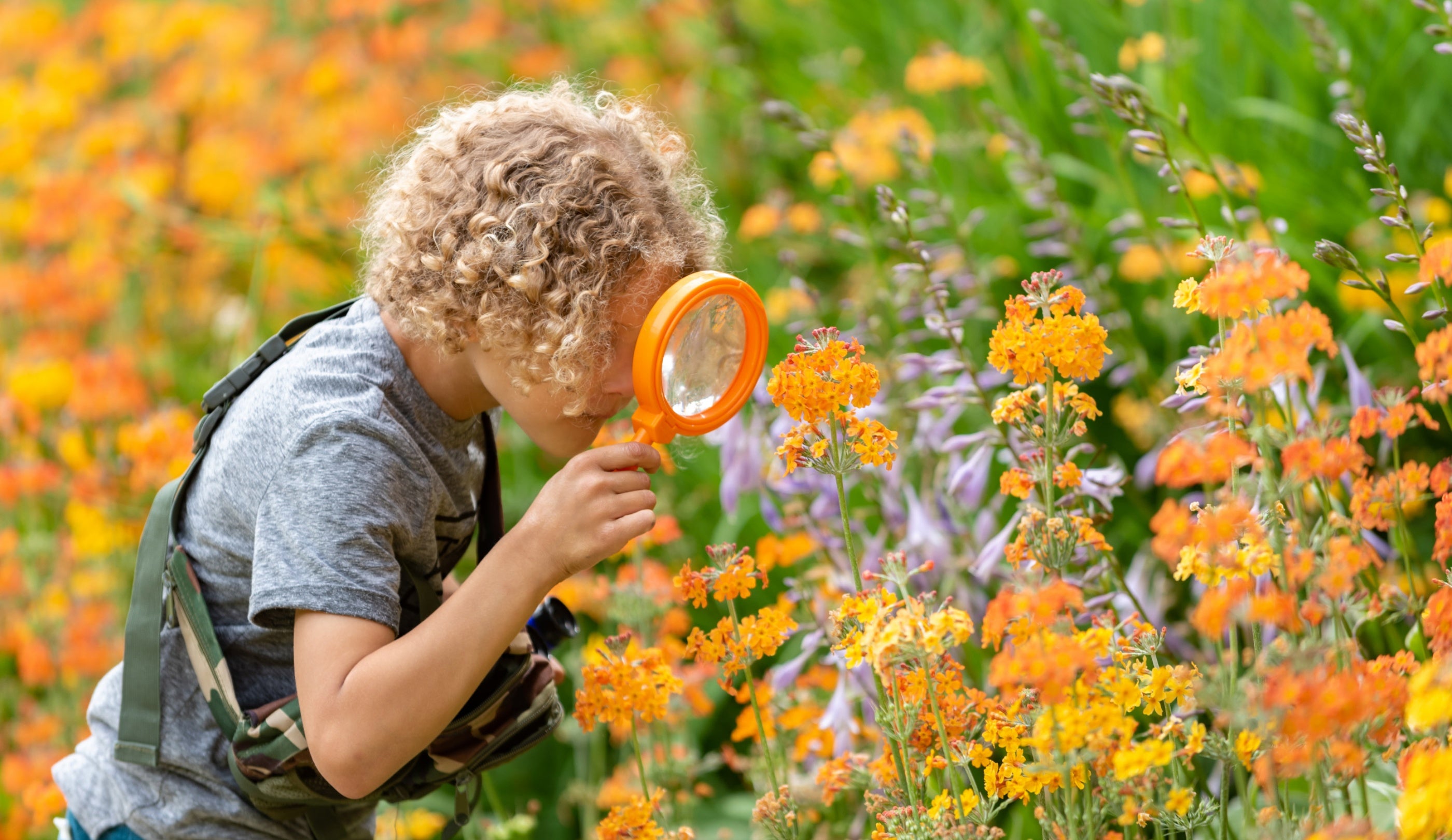A child bending down to inspect plants with a magnifying glass at Quarry Bank Mill, Cheshire