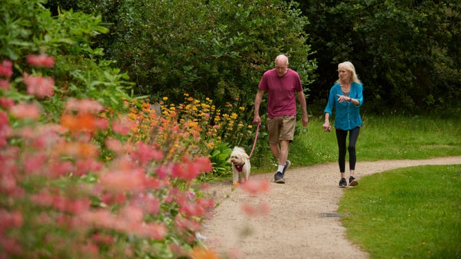 Visitors on a walk with their dog in summer at Quarry Bank