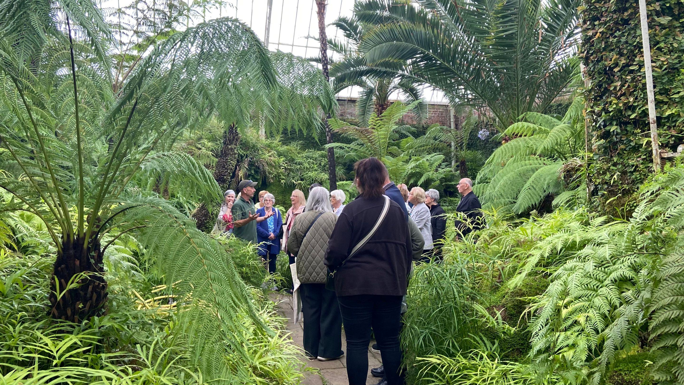 Group visitors in the Fernery at Tatton Park, Cheshire