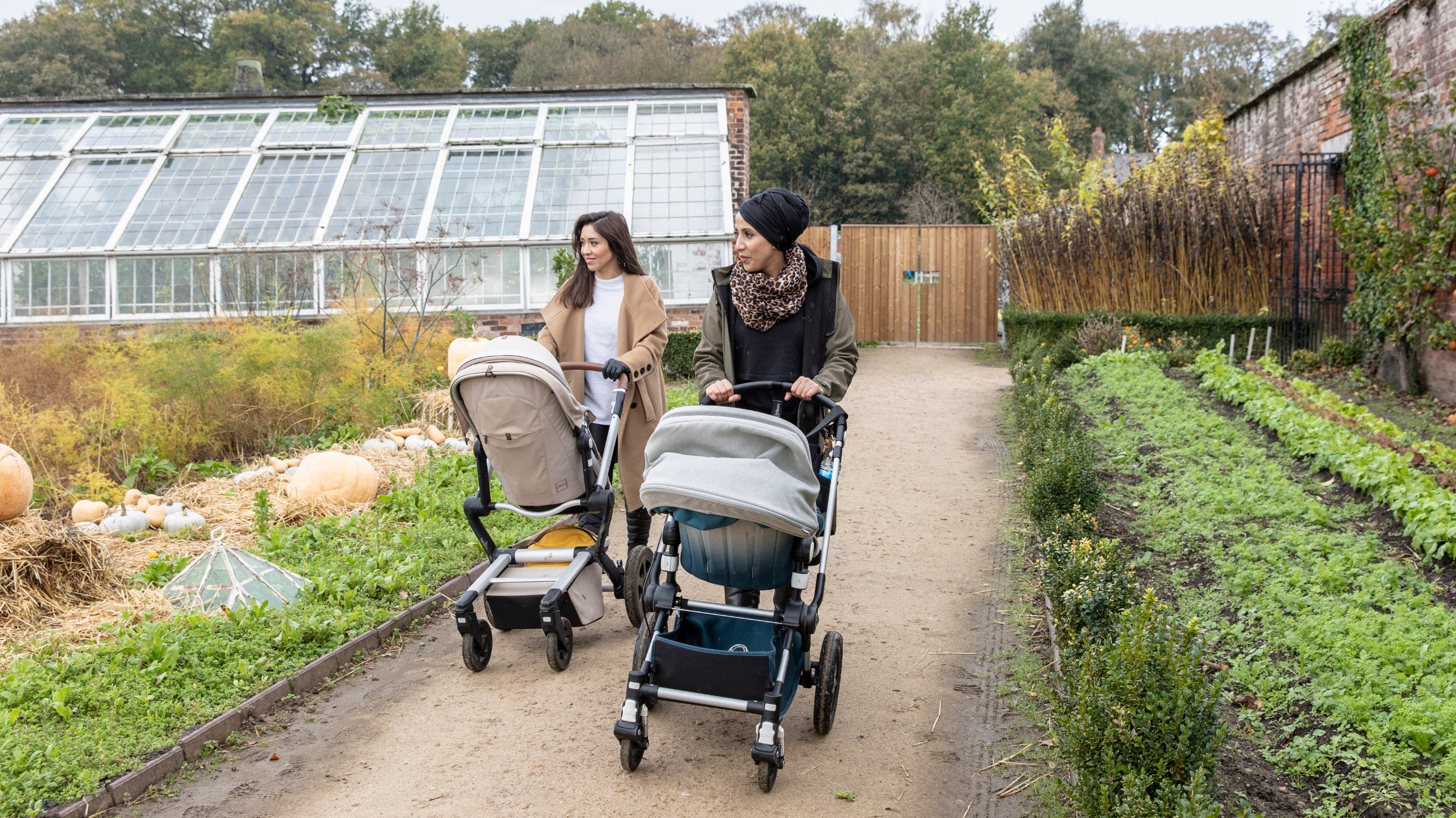 Two visitors exploring the Kitchen Garden at Tatton Park in autumn with their prams. They wonder along paths surrounded by beds brimming with seasonal produce and a large glasshouse can be seen in the background.