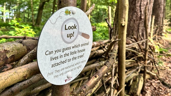 Interpretation board, part of the Billie the Beetle trail in Dairy Wood Way, Tatton Park, Cheshire