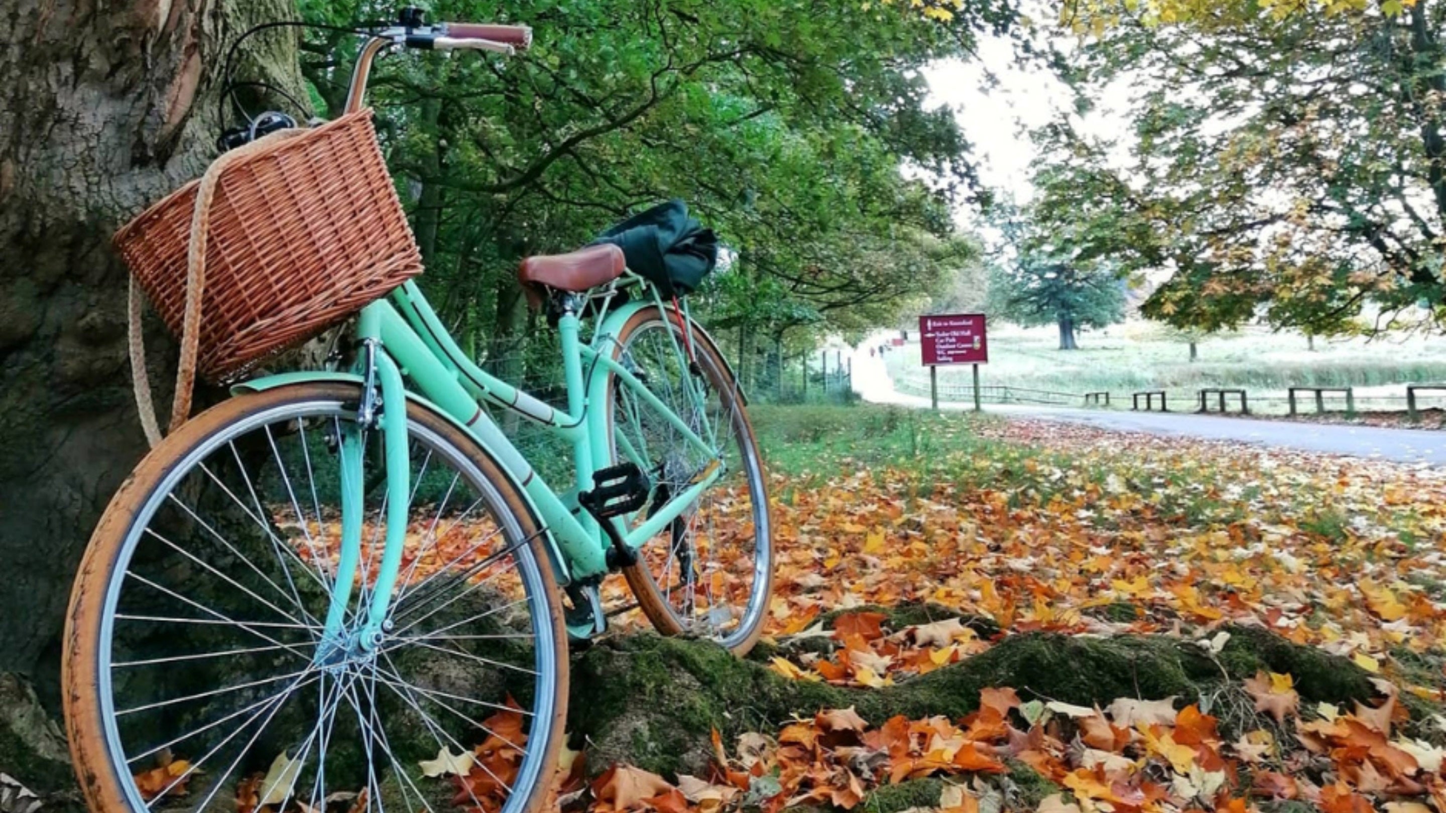 Bicycle in the parkland, Tatton Park, Cheshire