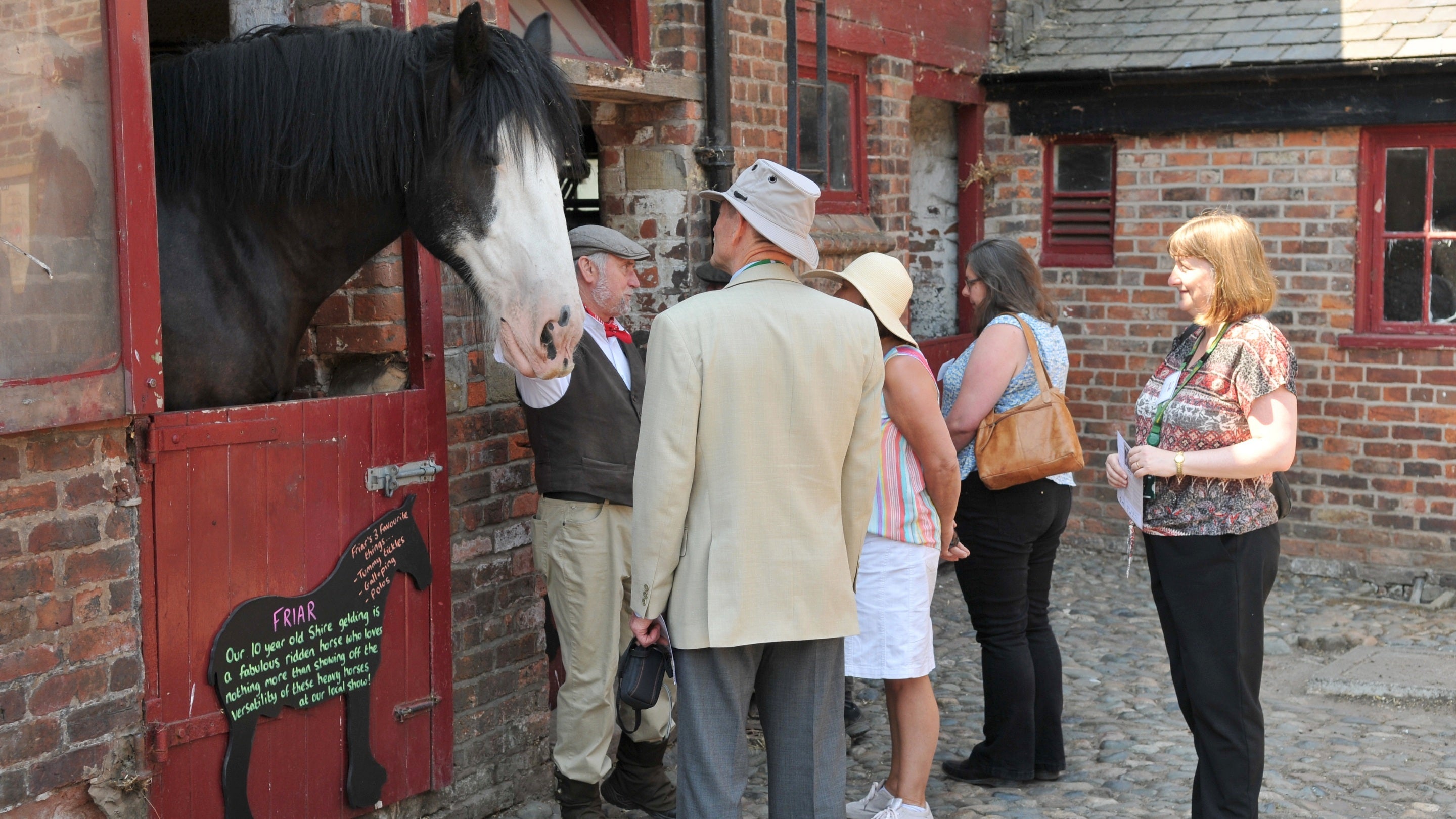 Visitors meeting the rare-breed animals at Tatton Park’s farm on a group tour