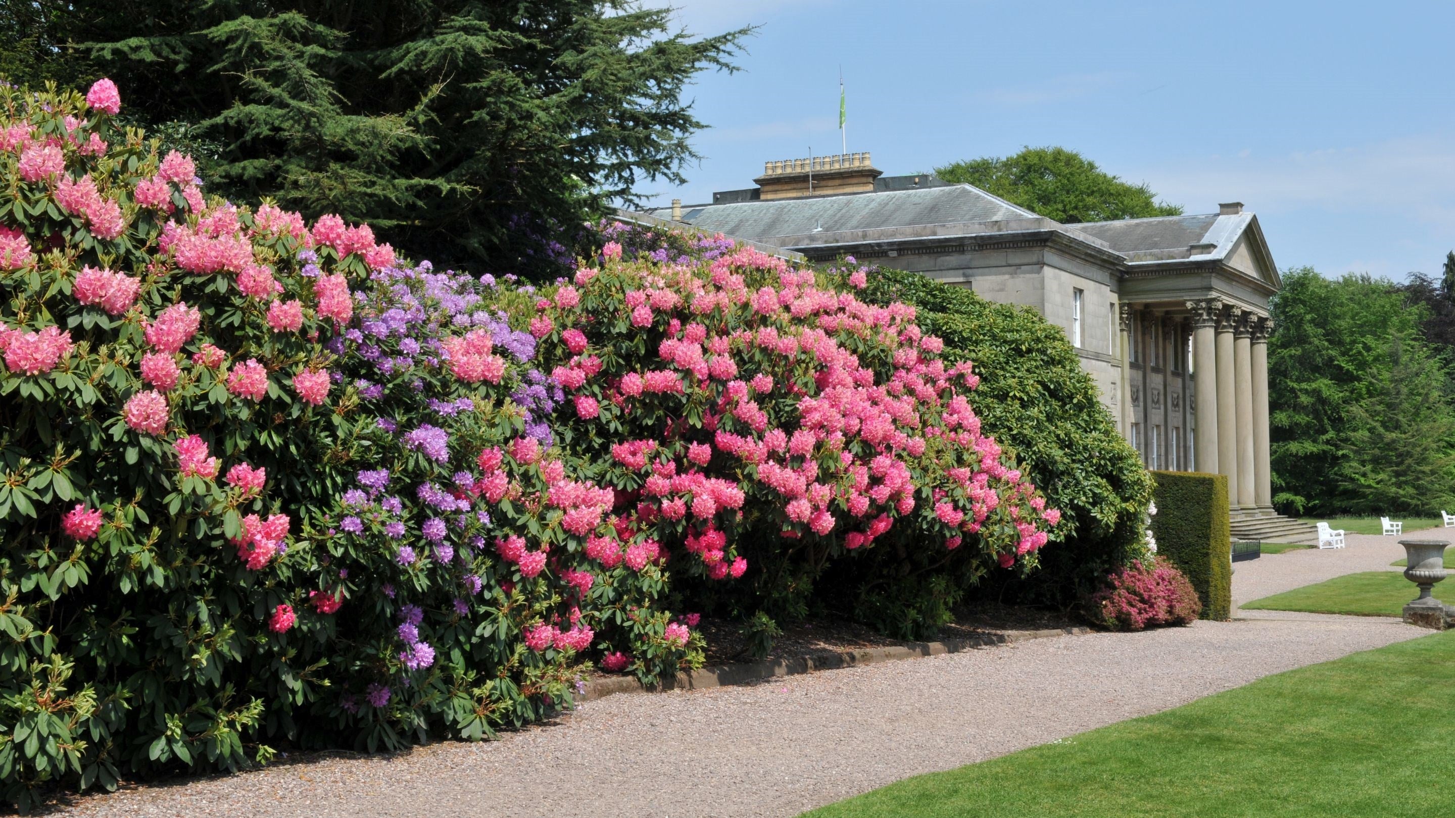 Spring colour in the Gardens at Tatton Park, Cheshire