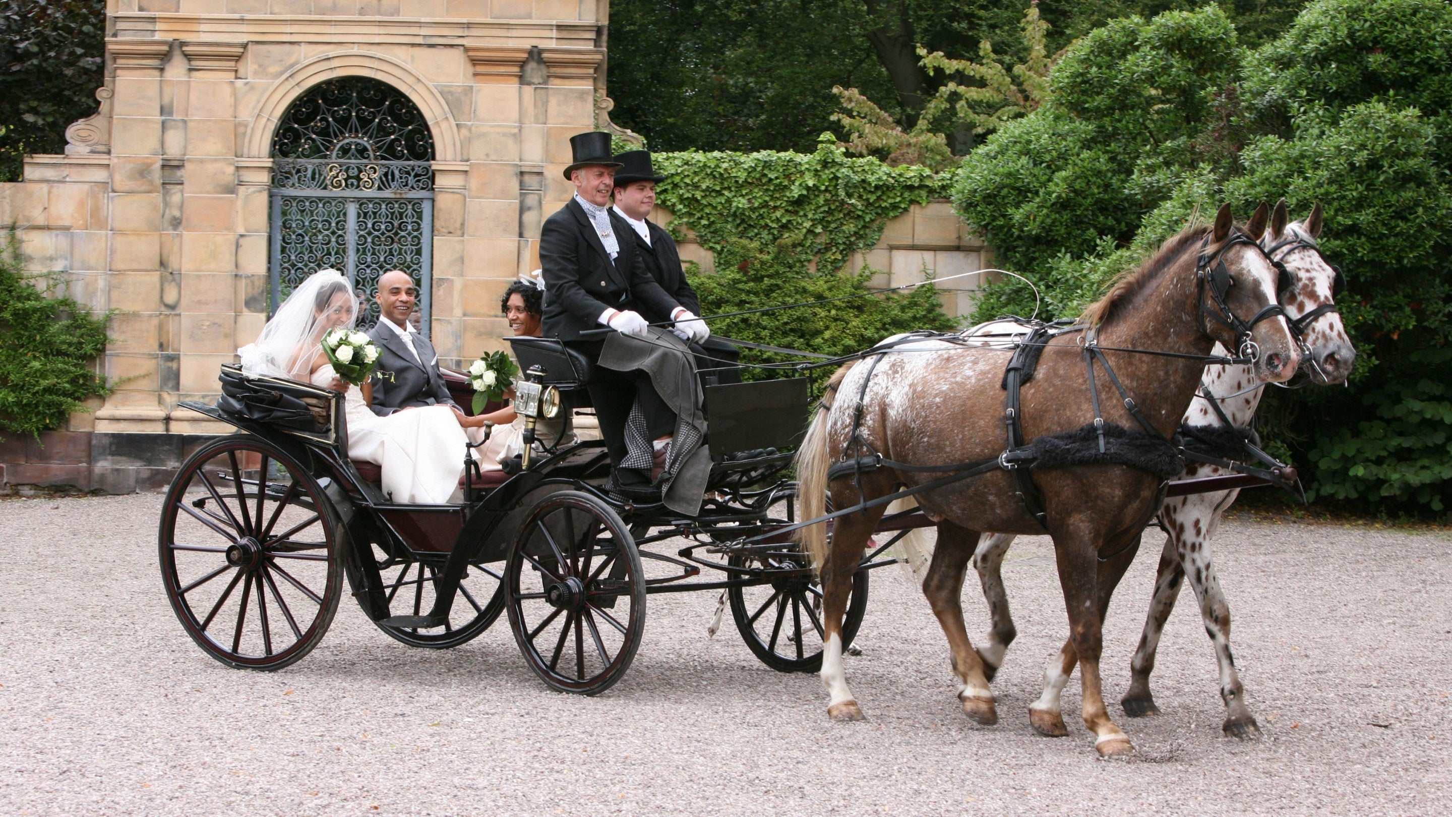 A married couple in a horse-drawn carriage at Tatton Park, Cheshire
