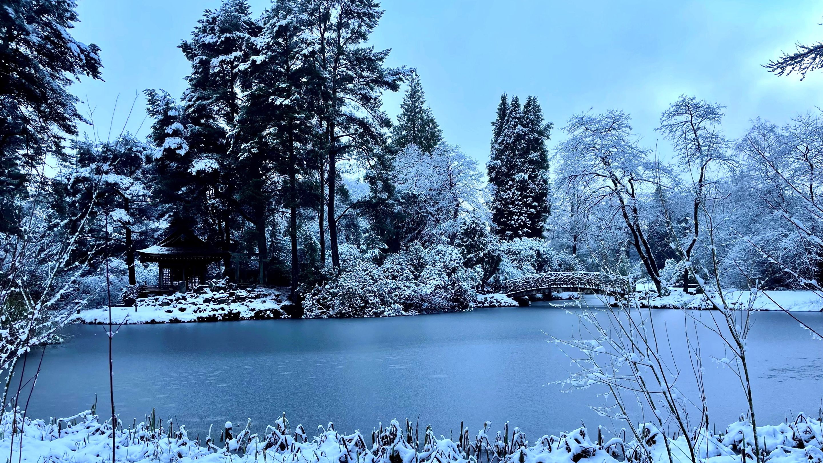 Japanese Garden in the winter, Tatton Park, Cheshire